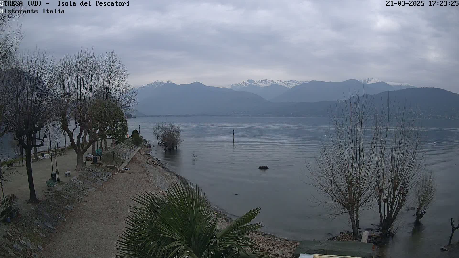 A calm lake with snow-capped mountains in the distance under an overcast sky, viewed from a shoreline with bare trees and a sandy beach.