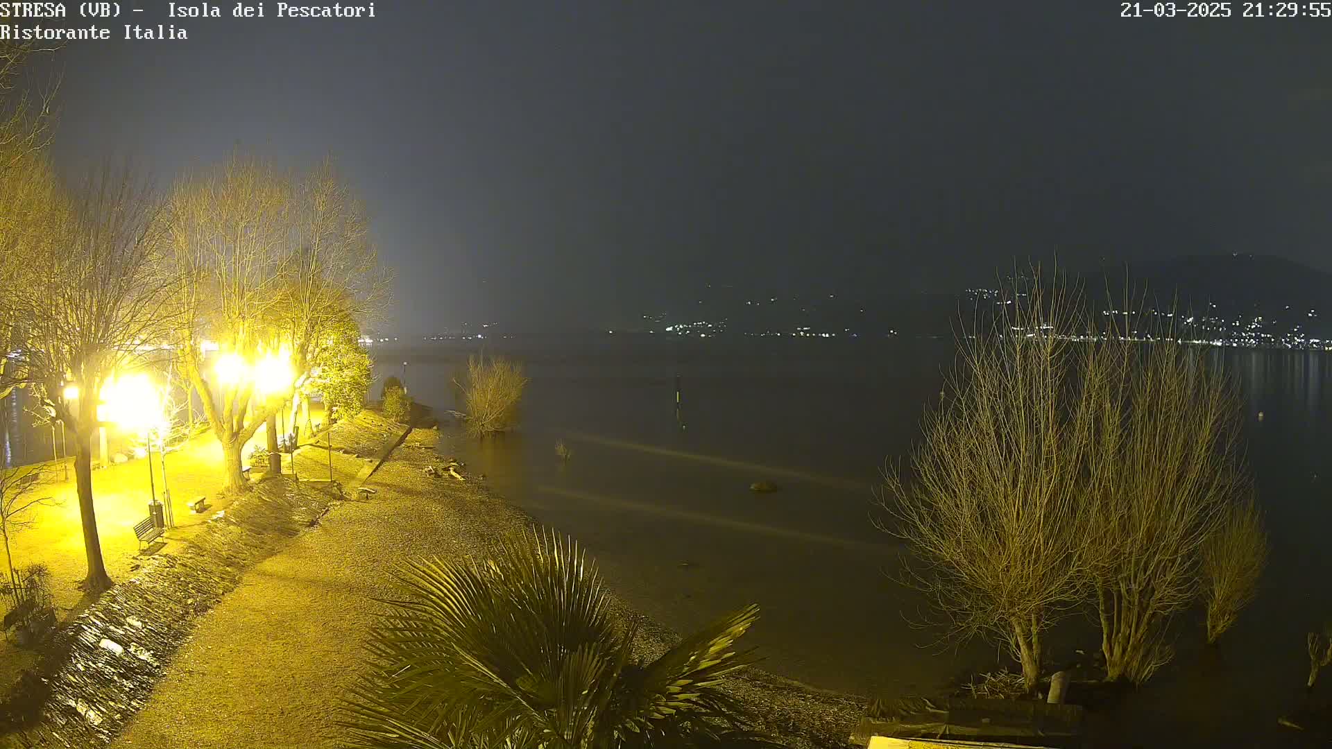 A nighttime view of a lakeshore, illuminated by streetlights, shows bare trees along a pebbled shoreline with calm water and distant lights across the lake.
