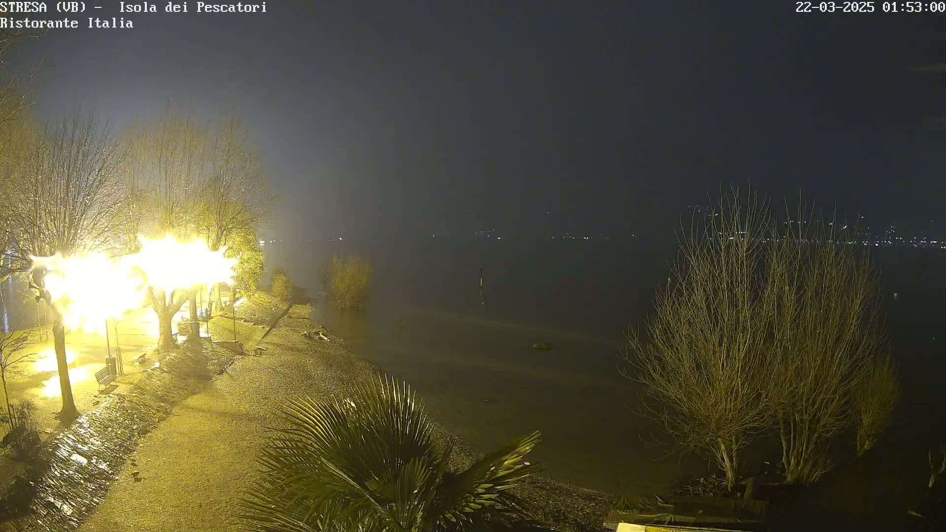 A nighttime lakeside scene shows illuminated trees and a shoreline partially submerged under water, with bare trees and a palm tree visible in the foreground.