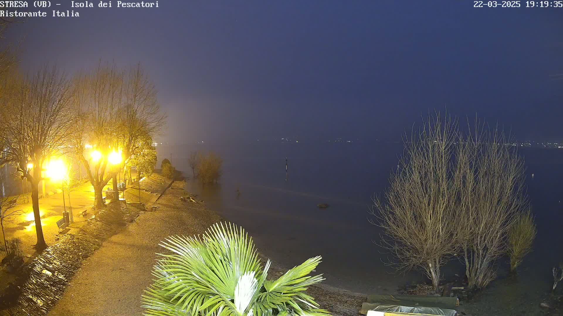 A nighttime view of a lake shore shows bare trees, illuminated walkways, and a palm tree in the foreground under a dark, foggy sky.