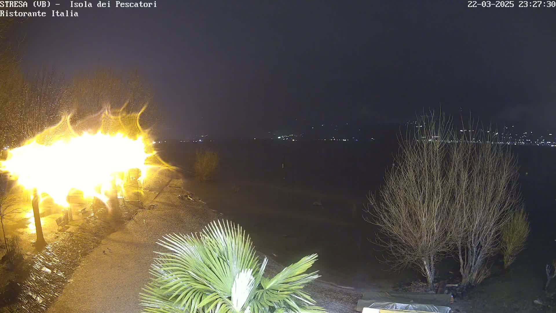 A large, bright fire illuminates the nighttime scene near bare trees and a palm tree, with distant lights visible across the water under a dark sky.
