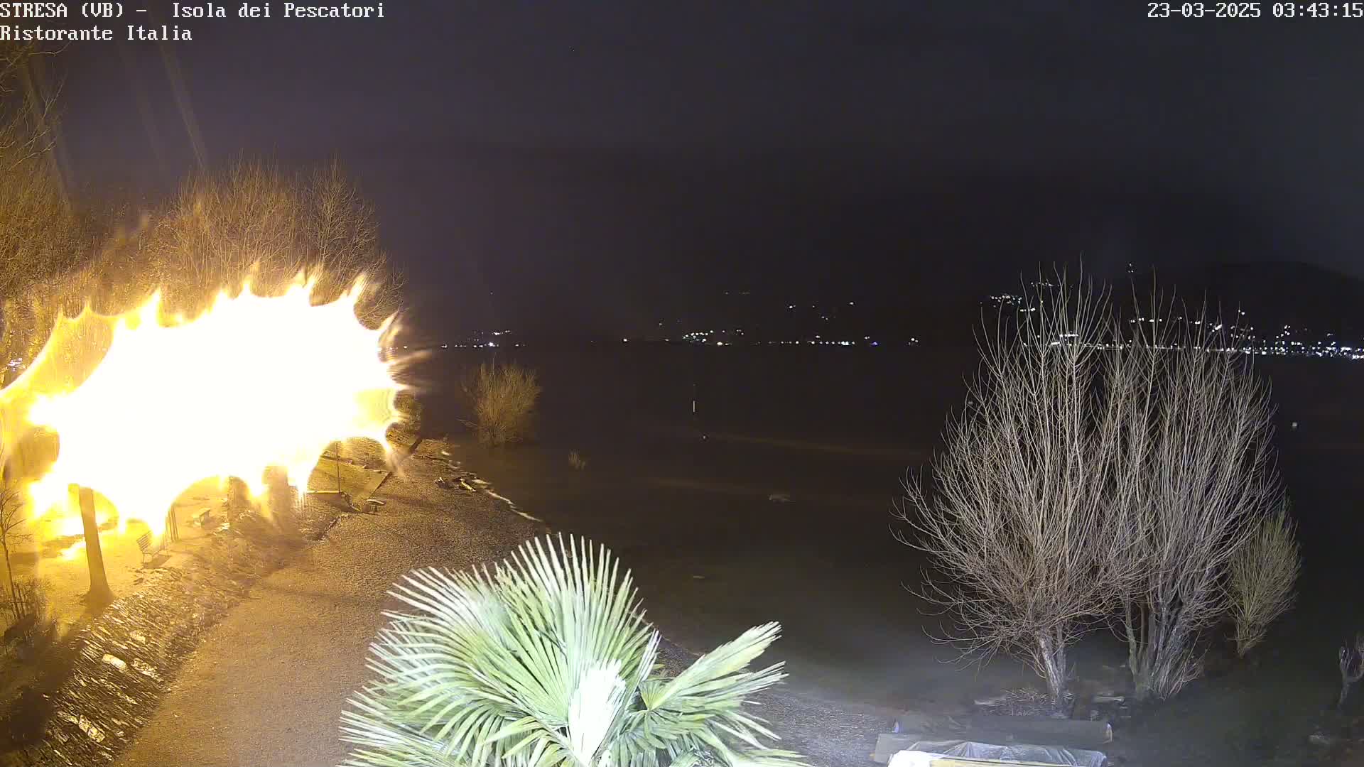 A large, bright, starburst-shaped fire burns near bare trees at night beside a body of water with lights visible in the distance.