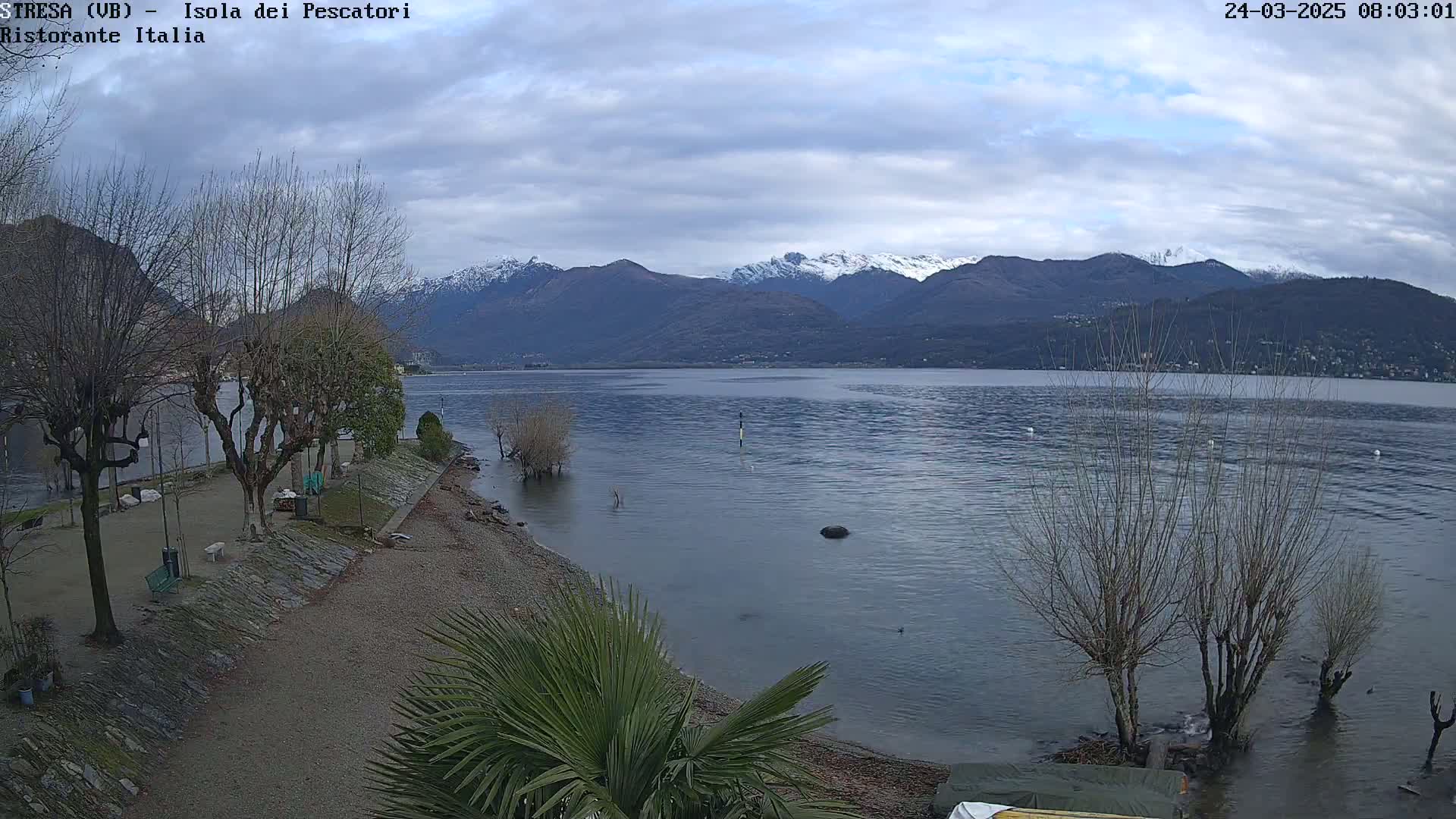 A calm lake with snow-capped mountains in the background under a cloudy sky, viewed from a shoreline with bare trees and a few palm trees.