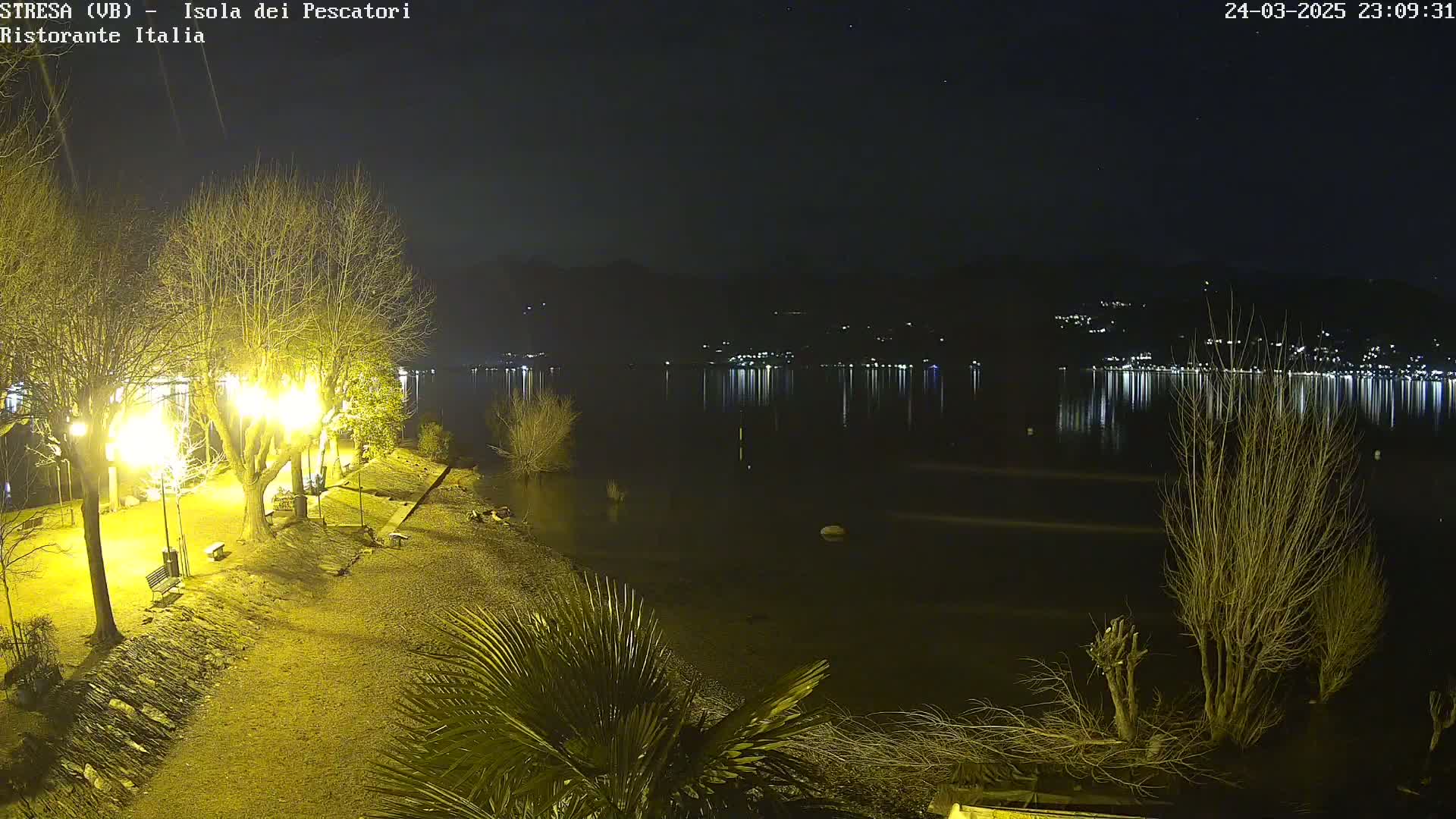 A nighttime view of a calm lake reflecting lights from a town across the water, with bare trees and illuminated pathways along the lakeshore.