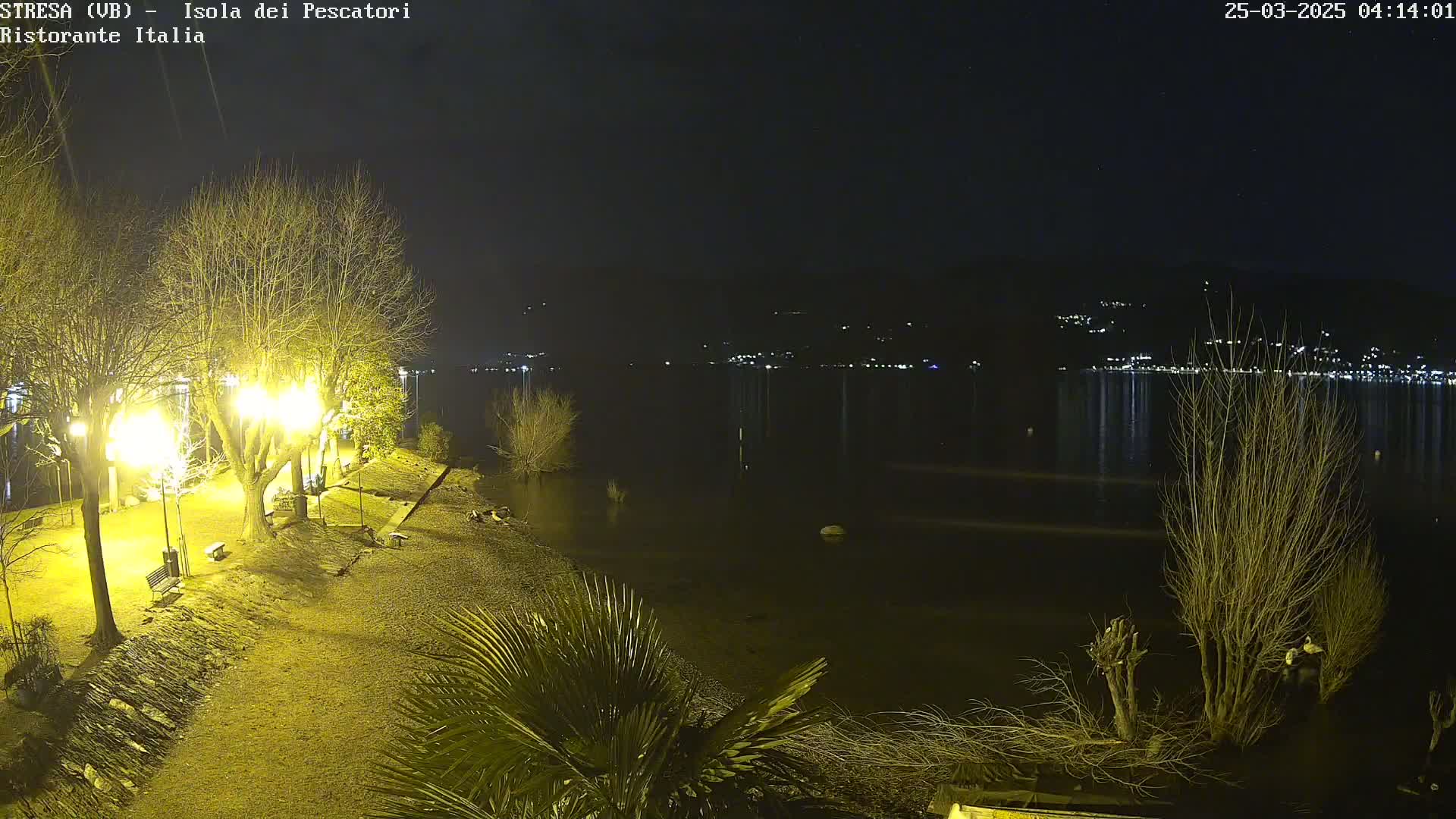 A nighttime view of a lakeshore, illuminated by lampposts, with bare trees and calm water reflecting distant lights.