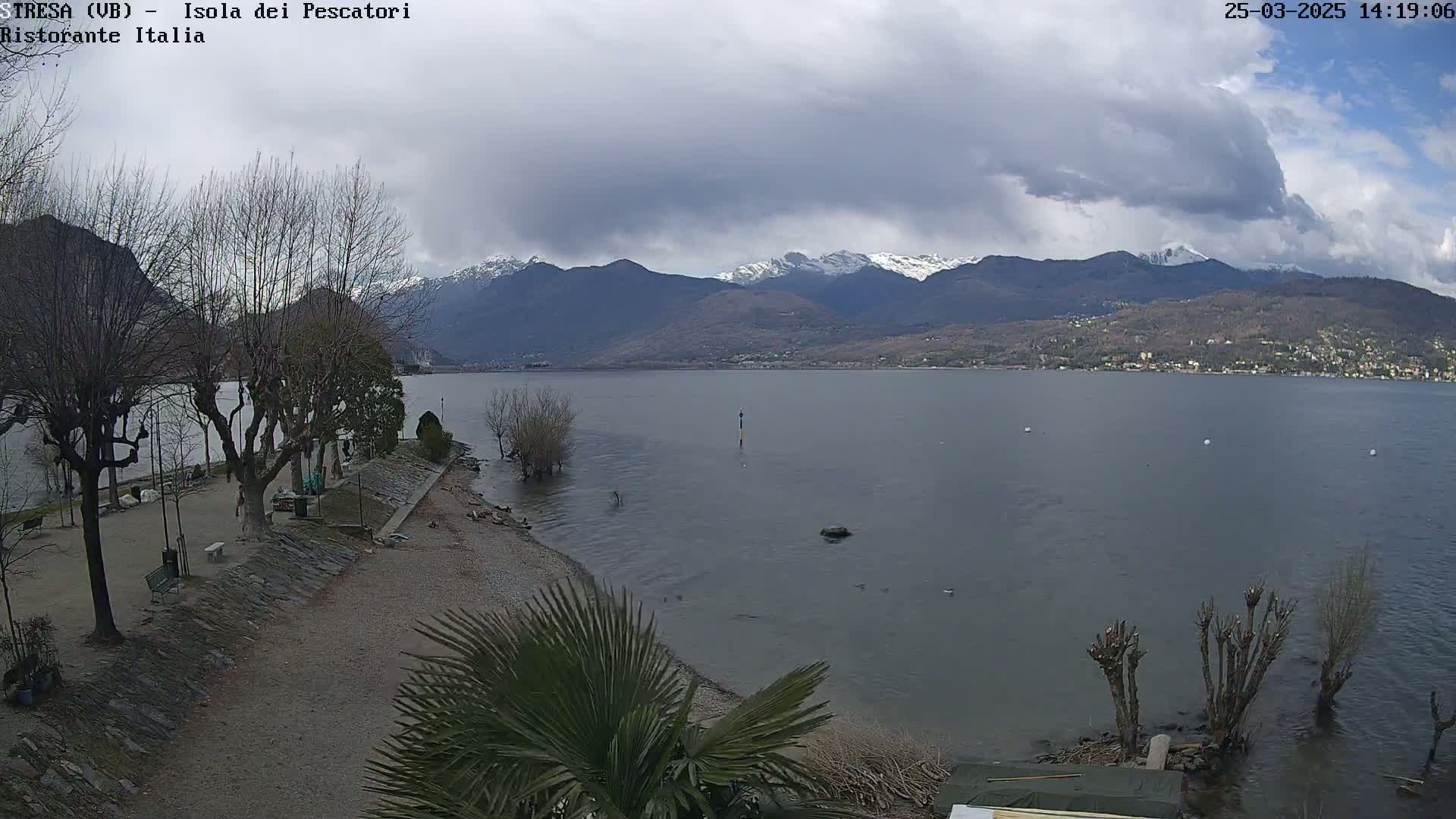 A partly cloudy day shows a calm lake with snow-capped mountains in the distance, a shoreline with bare trees and a small beach area, and a palm tree in the foreground.