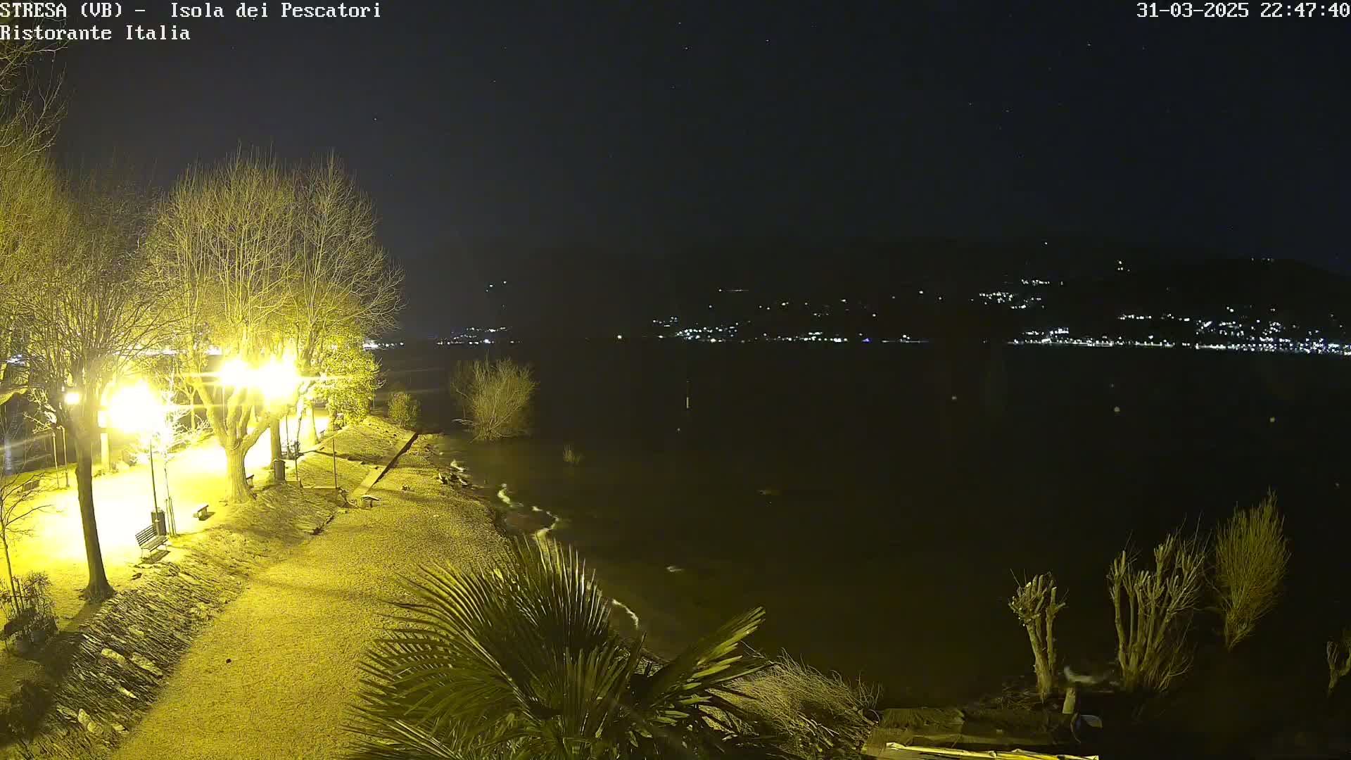 A nighttime view of a lakeshore with illuminated trees and a pebble beach, overlooking a town with lights across the water under a clear, starry sky.
