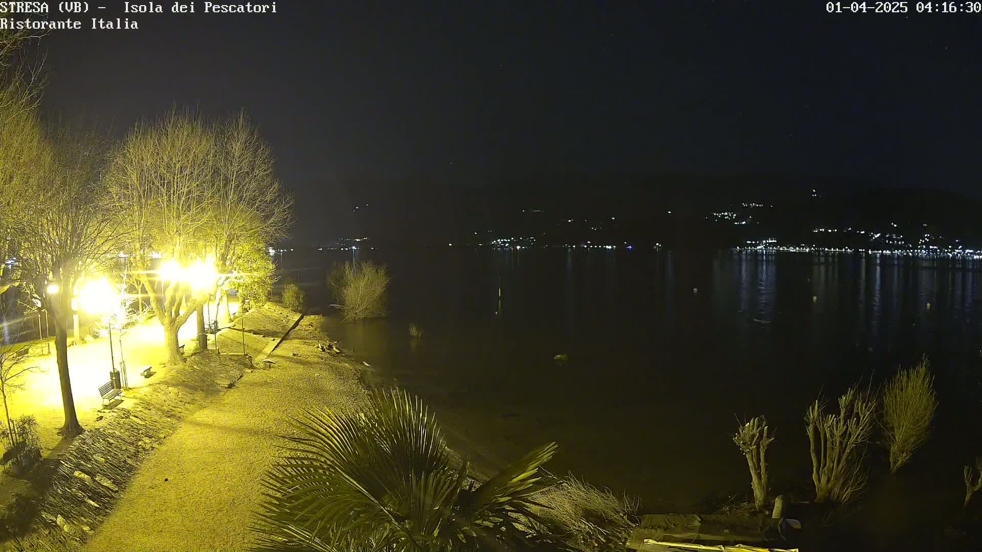 A nighttime view of a lakeshore, showing bare trees illuminated by streetlights, a calm body of water reflecting distant lights, and some low-lying vegetation near the water's edge.