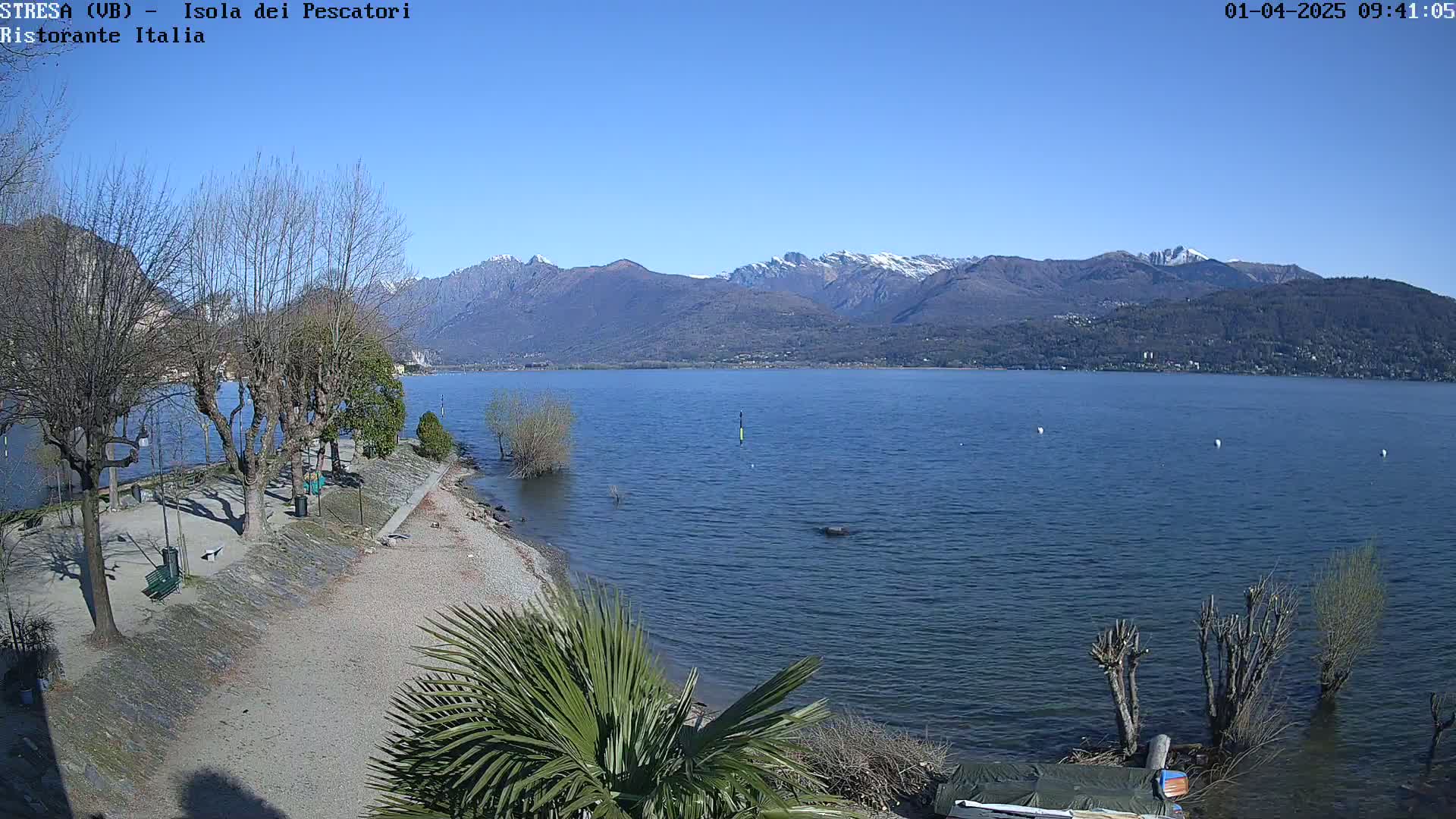 A calm lake with snow-capped mountains in the background under a clear blue sky, seen from a lakeside park with sparse vegetation.