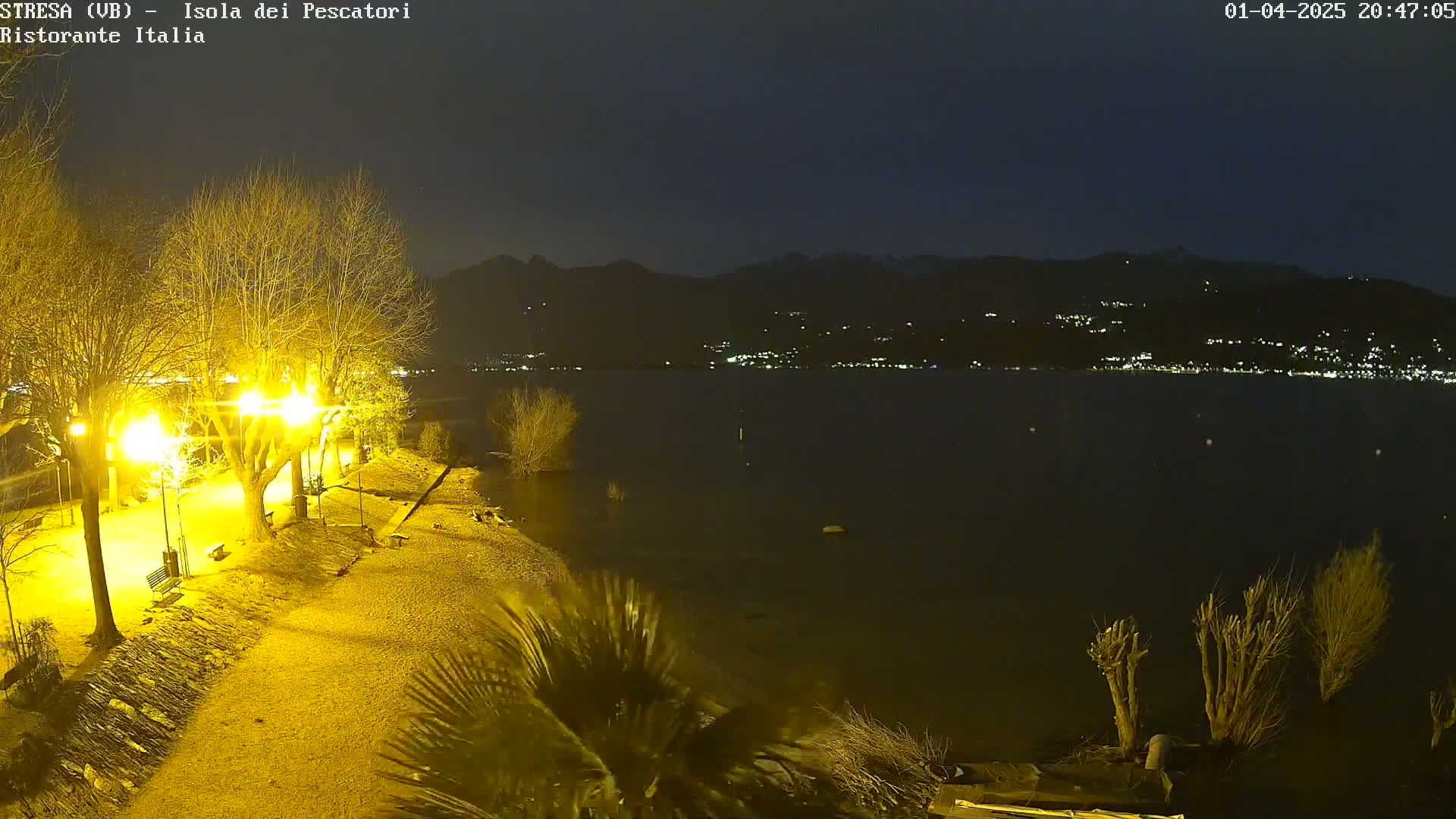 A nighttime view of a lakeshore with illuminated trees and a path, overlooking a calm body of water and distant lights on hills under a dark sky.
