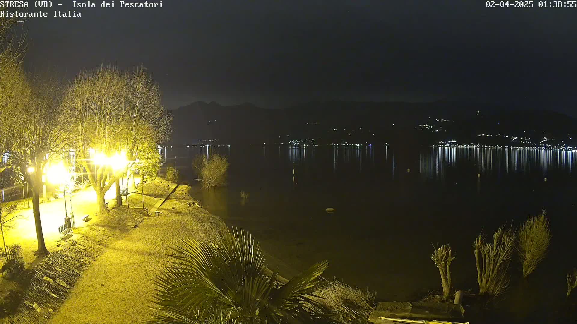 A nighttime view of a lakeshore illuminated by streetlights, showing bare trees, calm water reflecting distant lights, and a palm tree in the foreground.