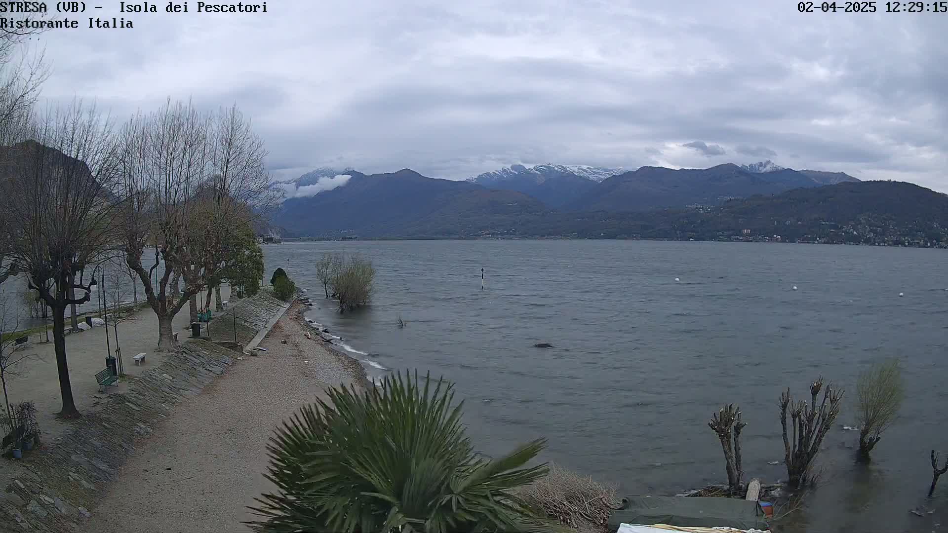 A partly cloudy day shows a lake with choppy water, a pebbled shoreline with bare trees and a small palm tree, and snow-capped mountains in the distance.