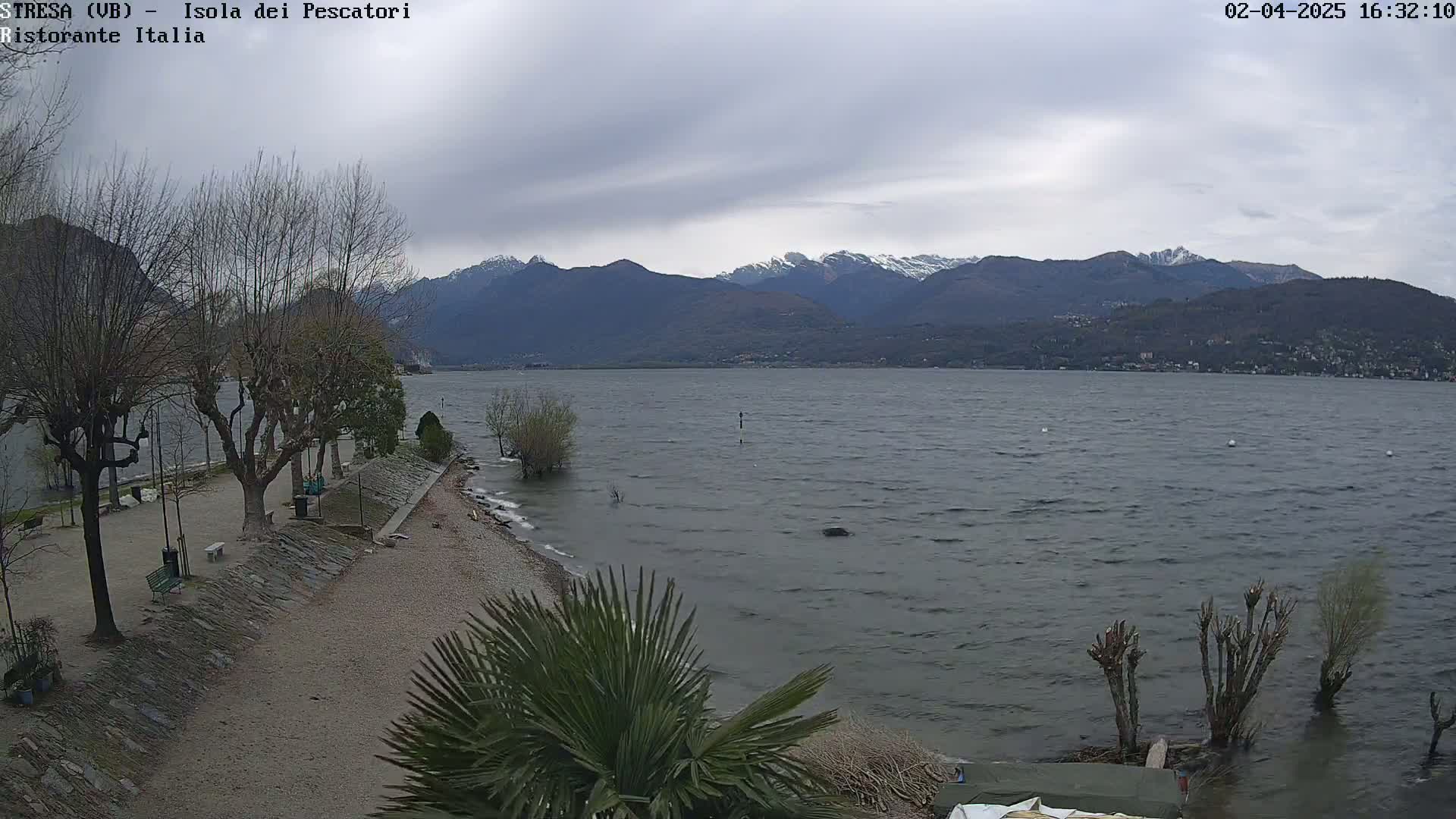 A lake with choppy water stretches out to snow-capped mountains under a cloudy sky, with a shoreline featuring bare trees, a pebble beach, and low-lying vegetation.