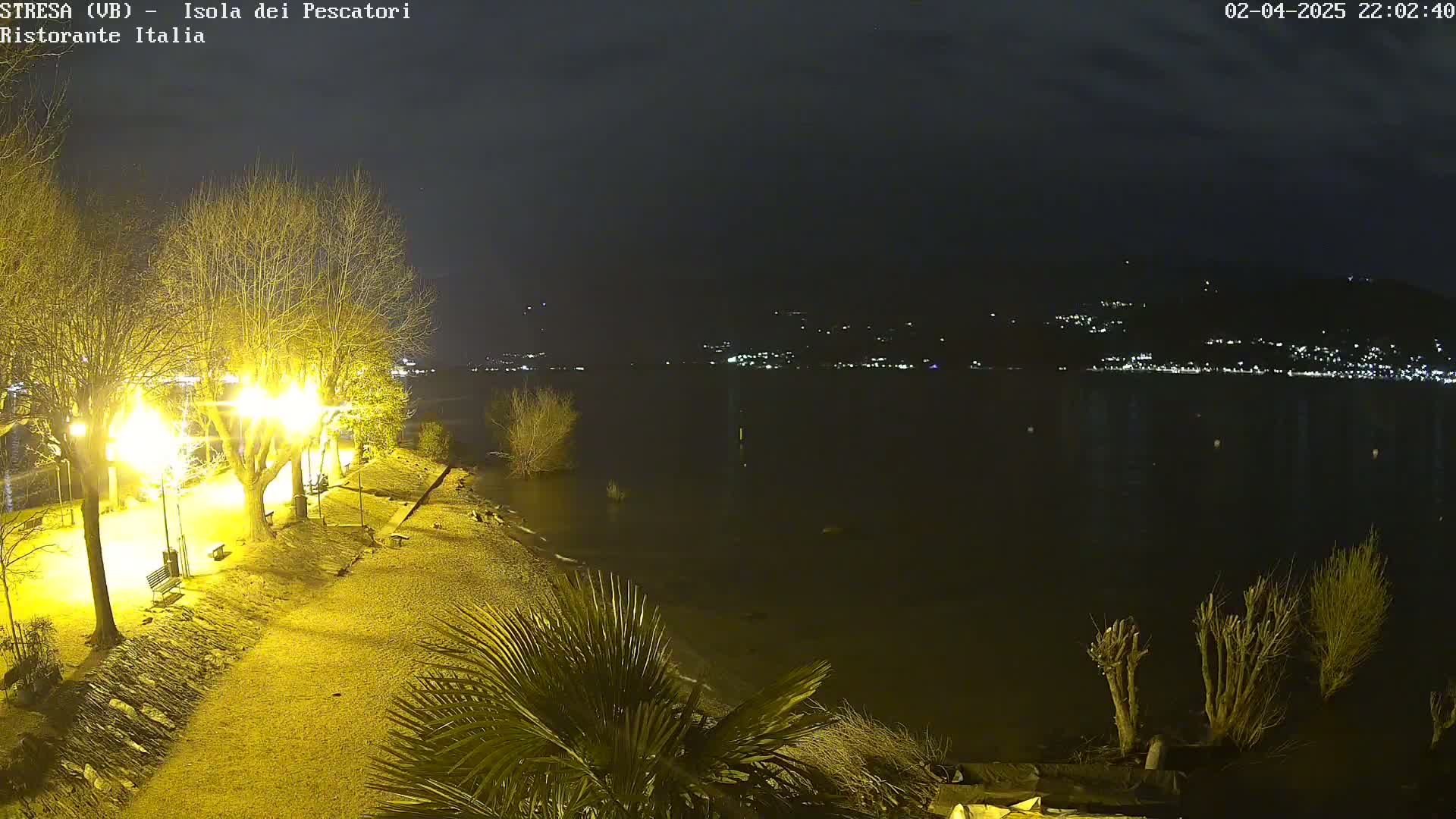 A nighttime view of a shoreline with illuminated trees and a calm body of water reflecting lights from a distant town across the water.