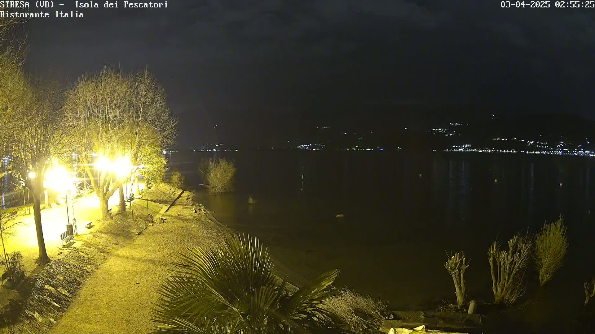A nighttime view of a lakeside park with illuminated trees and a calm body of water reflecting distant lights.