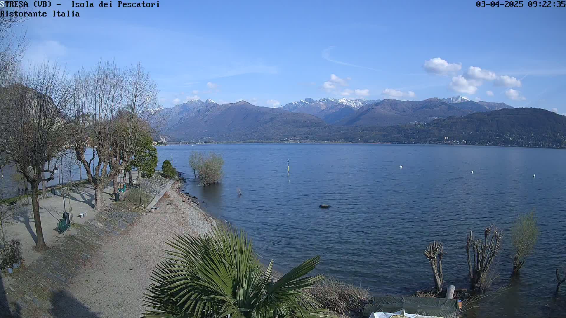 A partly cloudy day shows a calm lake with snow-capped mountains in the background, a shoreline with bare trees and a small beach area, and a palm tree in the foreground.