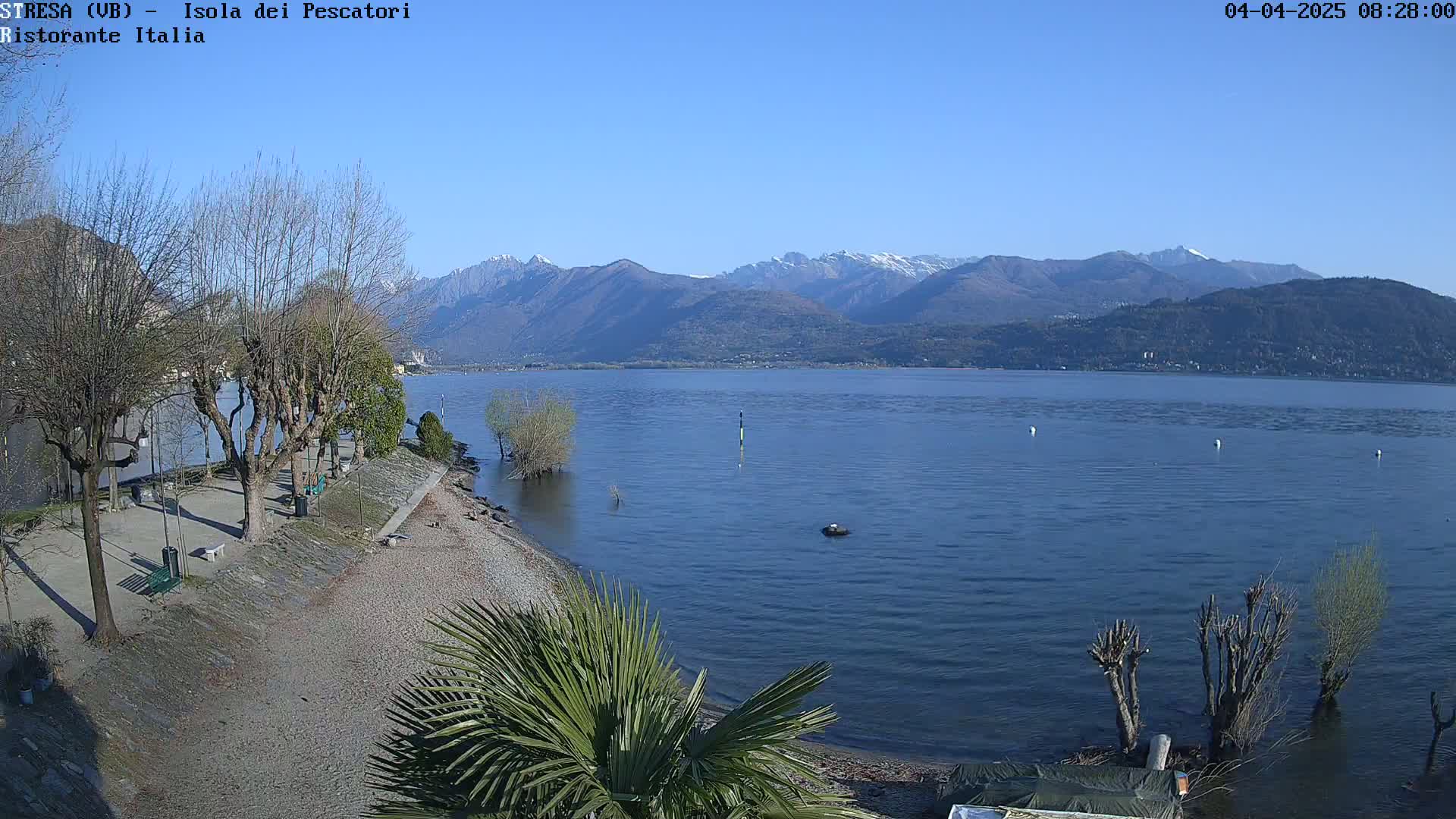 A clear, sunny day reveals a calm lake with snow-capped mountains in the background, a shoreline with bare trees and a sandy beach, and a few small plants in the foreground.
