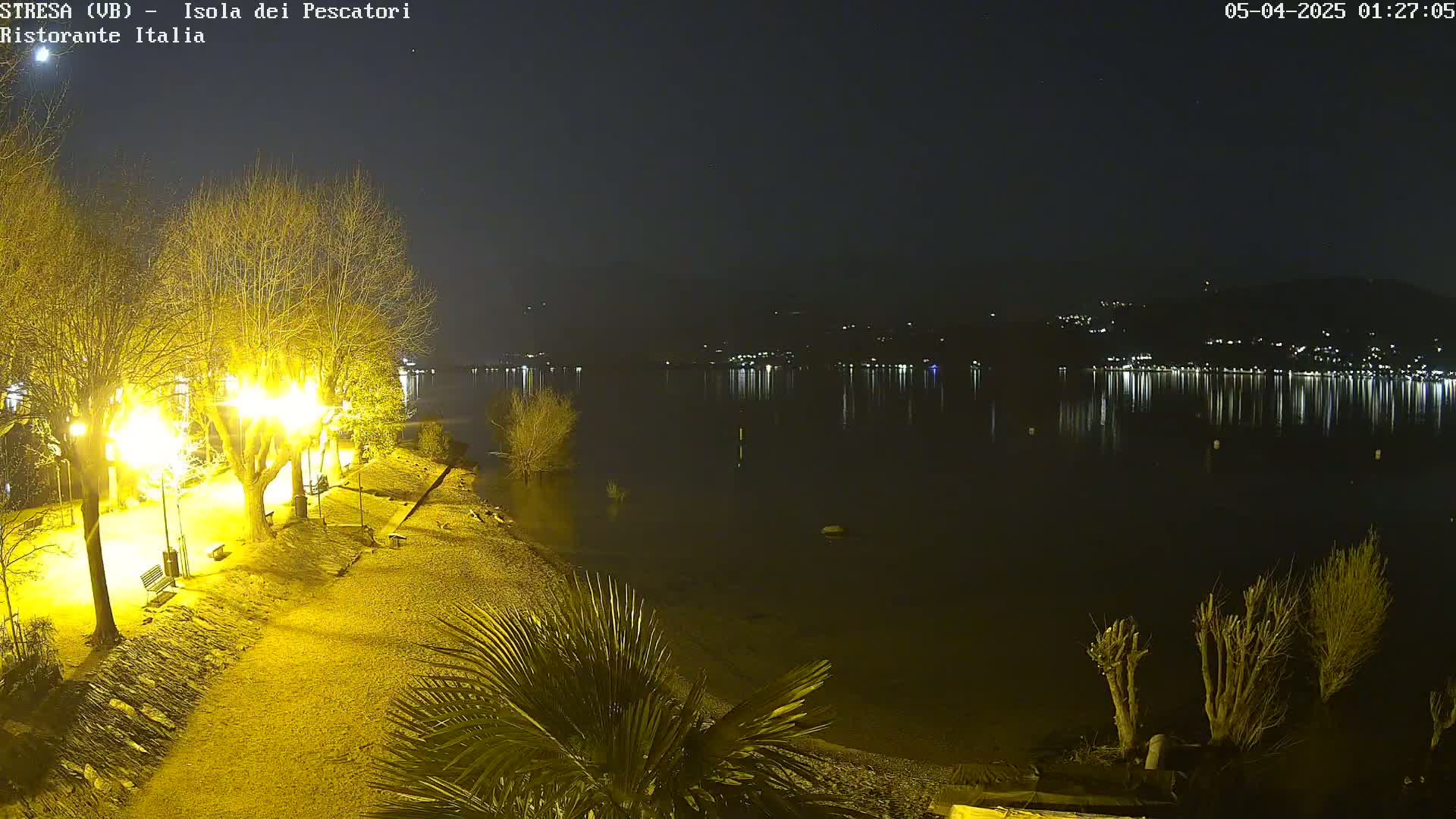 A nighttime view of a lakeshore path illuminated by lampposts, with bare trees and a calm lake reflecting lights from a town across the water.