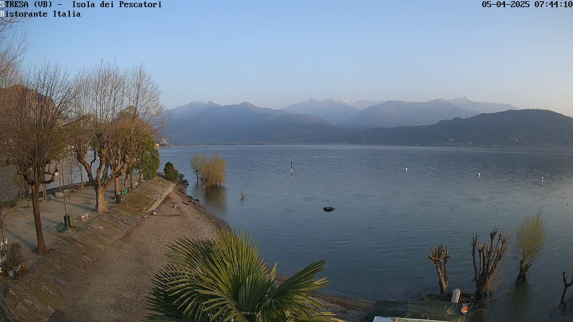 A clear, calm lake with snow-capped mountains in the background is seen from a lakeside park with bare trees and a palm tree in the foreground.