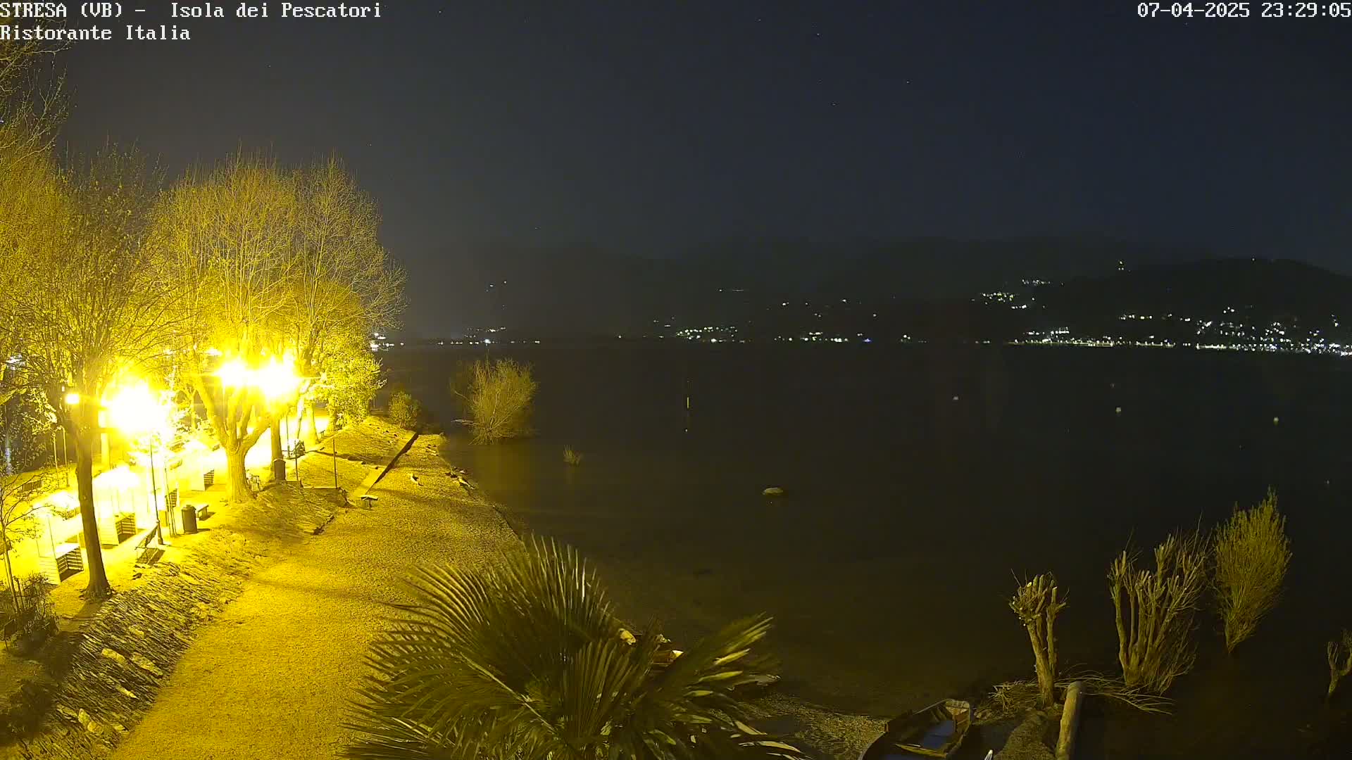 A nighttime view of a lakeshore with illuminated trees and a calm body of water, showing distant lights across the water and hills in the background under a clear night sky.