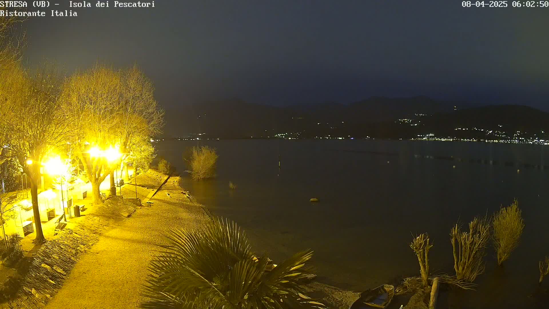 A nighttime view of a lakeshore, showing a sandy beach illuminated by streetlights, bare trees, and a calm lake with distant lights across the water.