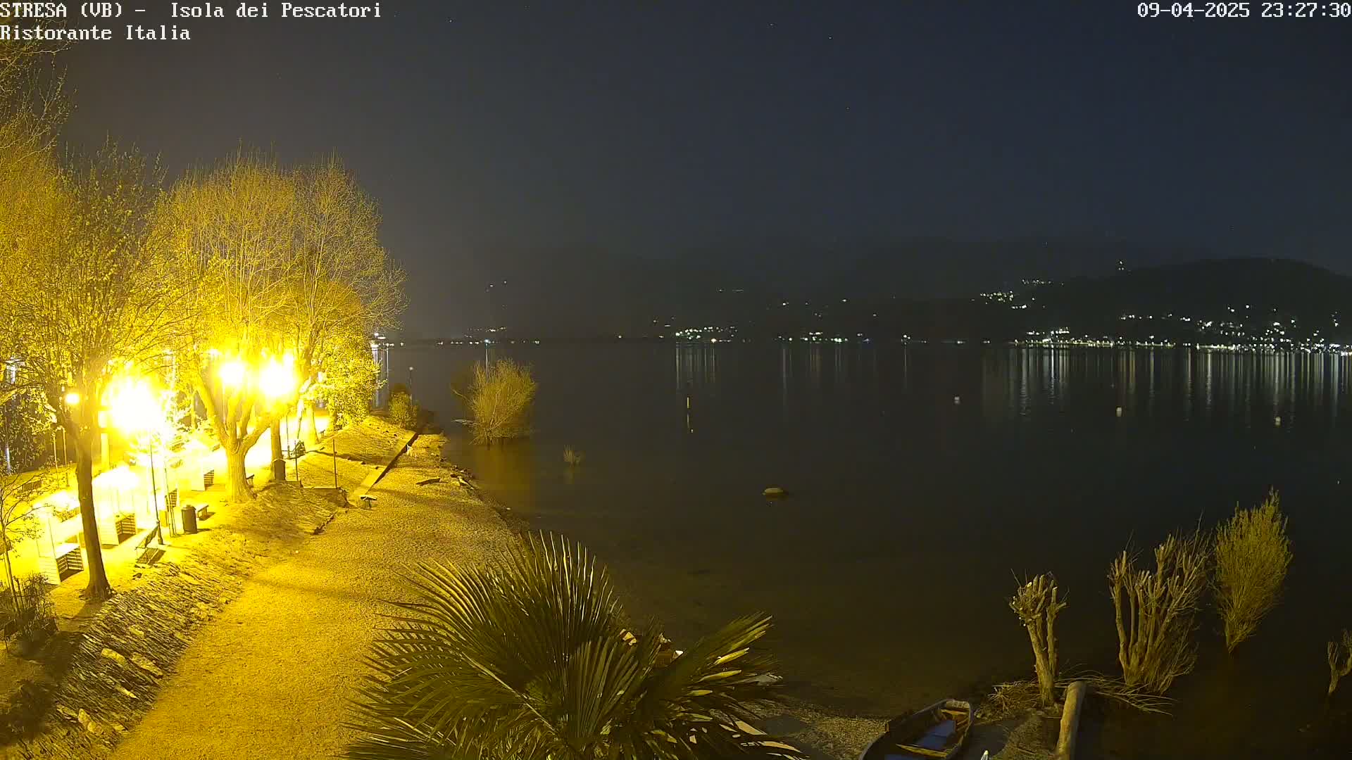 A nighttime view of a calm lake reflecting the lights of a town across the water, with a shoreline illuminated by streetlights along a path lined with bare trees and some small palm trees.