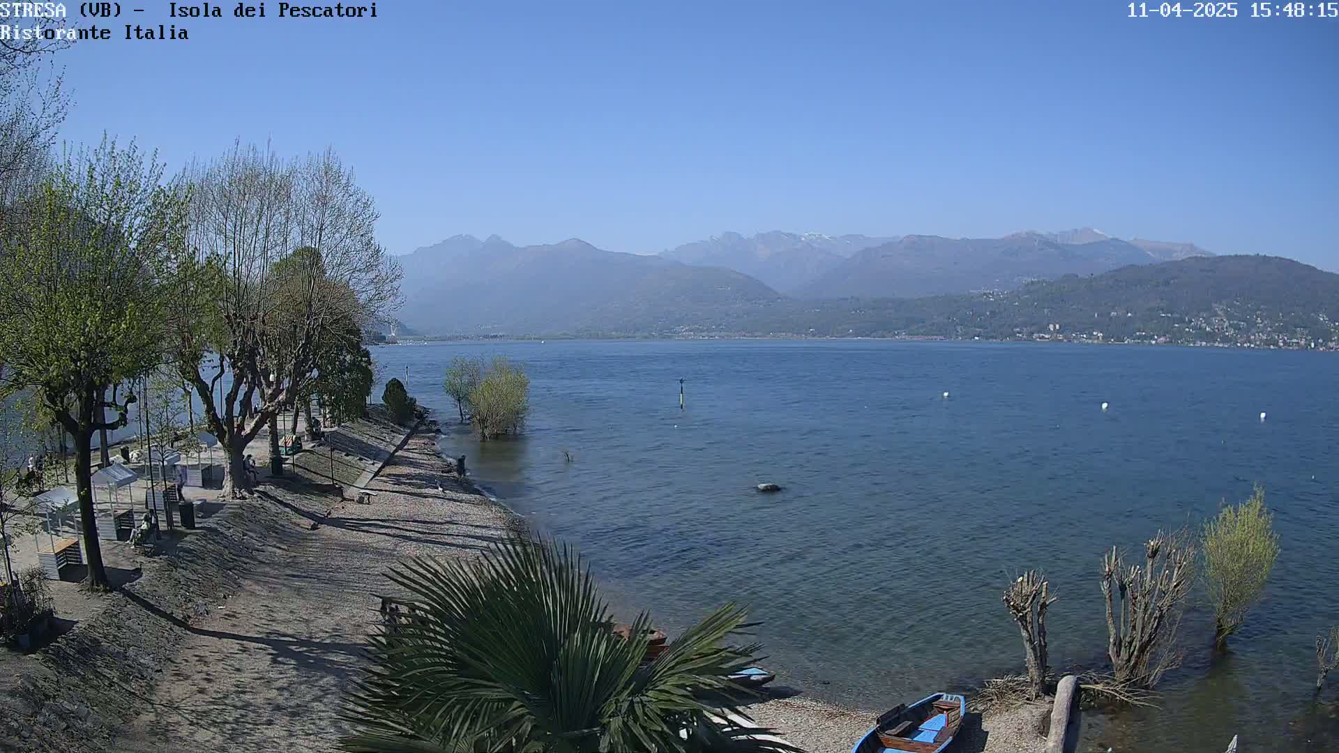 A rocky beach with leafless trees and a palm tree overlooks a calm lake and distant mountains under a clear blue sky.