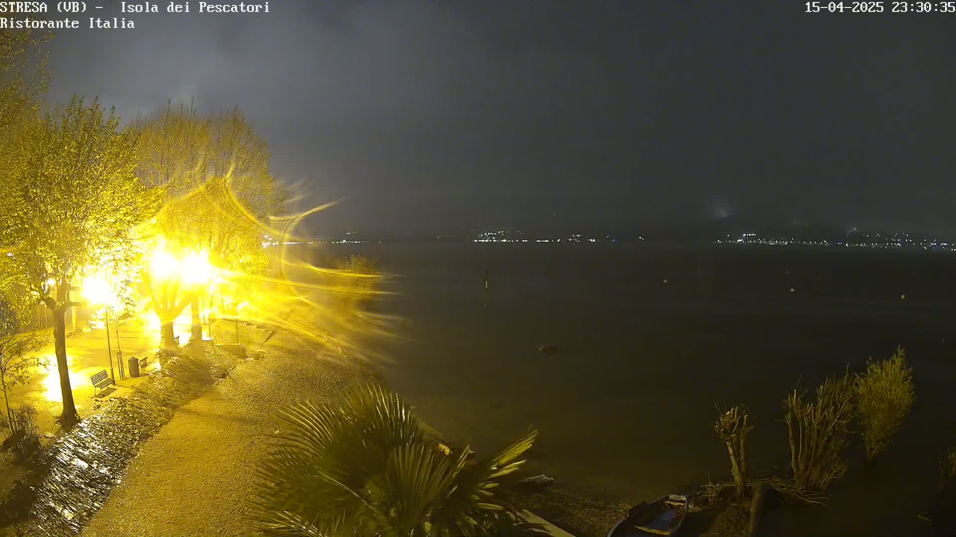A nighttime, rainy scene shows brightly lit trees and a shoreline beside a dark body of water with lights visible in the distance.
