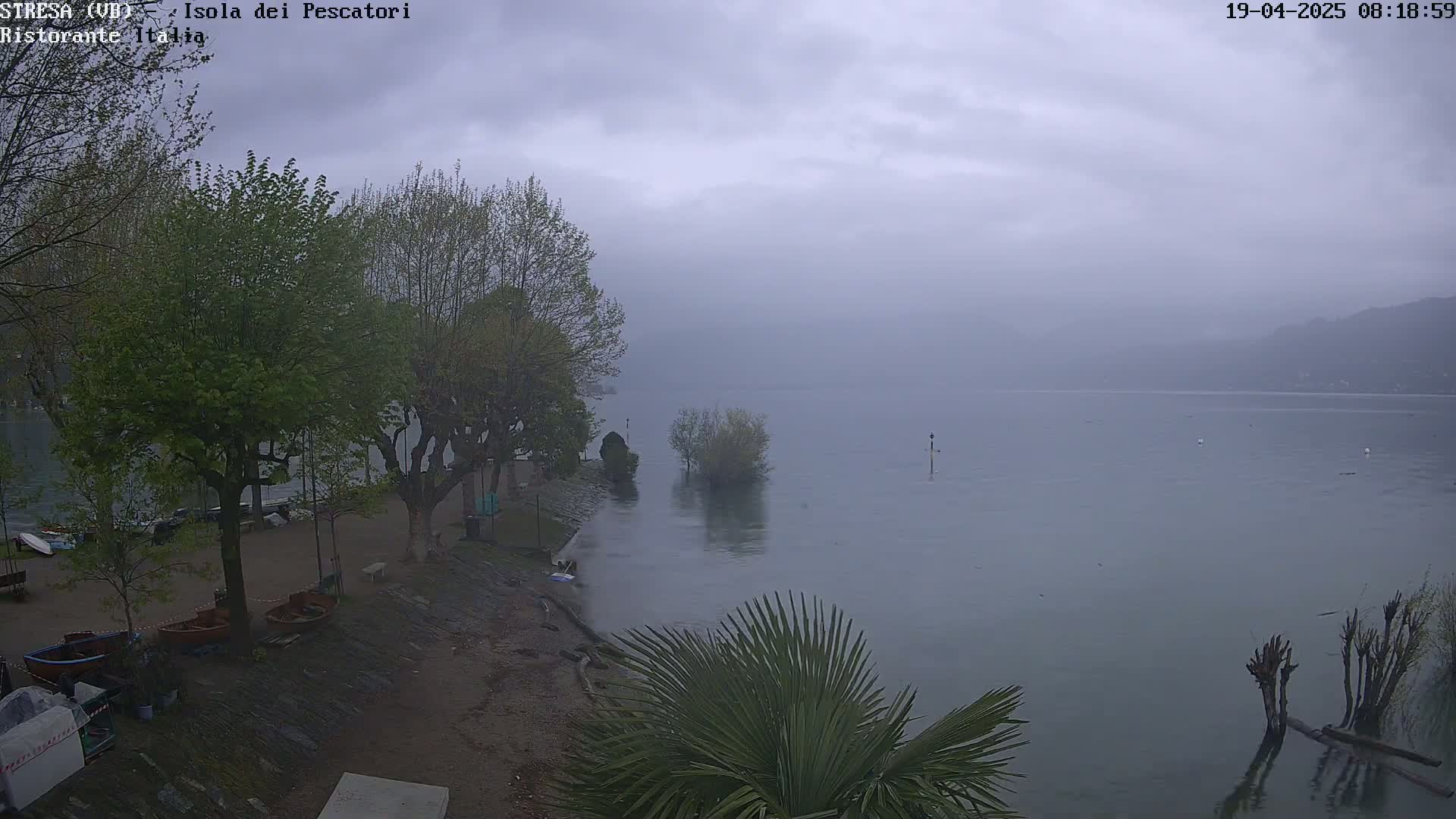 A hazy, overcast day shows a lake with several small trees and shrubs partially submerged near the shore, where several small boats are moored next to a paved area with additional trees behind.