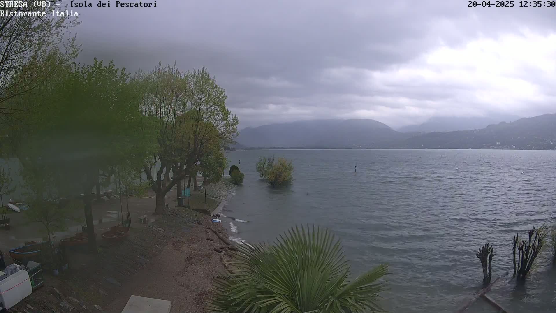 A lake with choppy water under an overcast sky is seen from a lakeside park with several trees and some small plants; the background shows distant mountains.