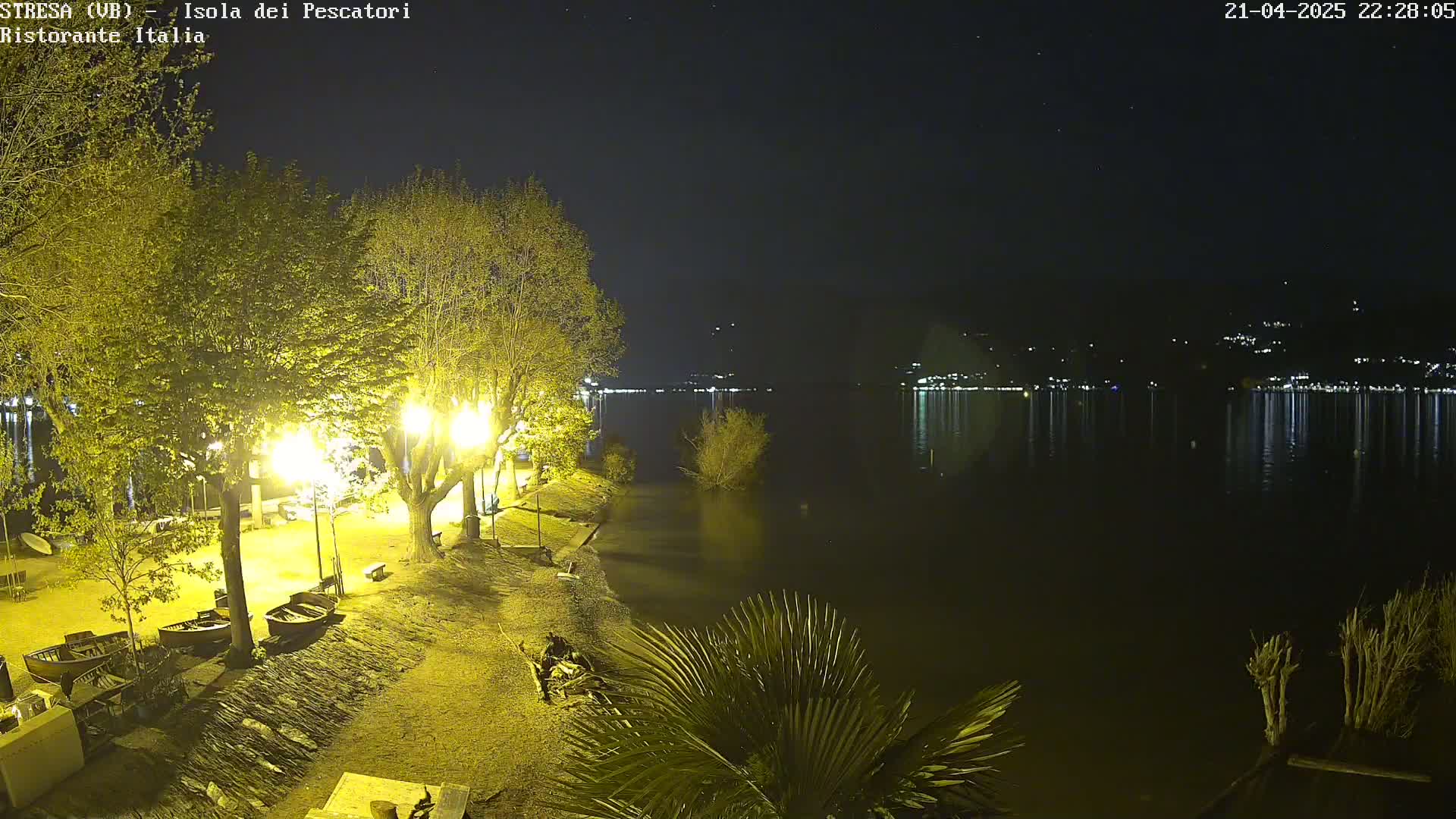 A nighttime view of a lake shore, showing illuminated trees and several boats near a calm body of water with distant lights reflecting on the surface.