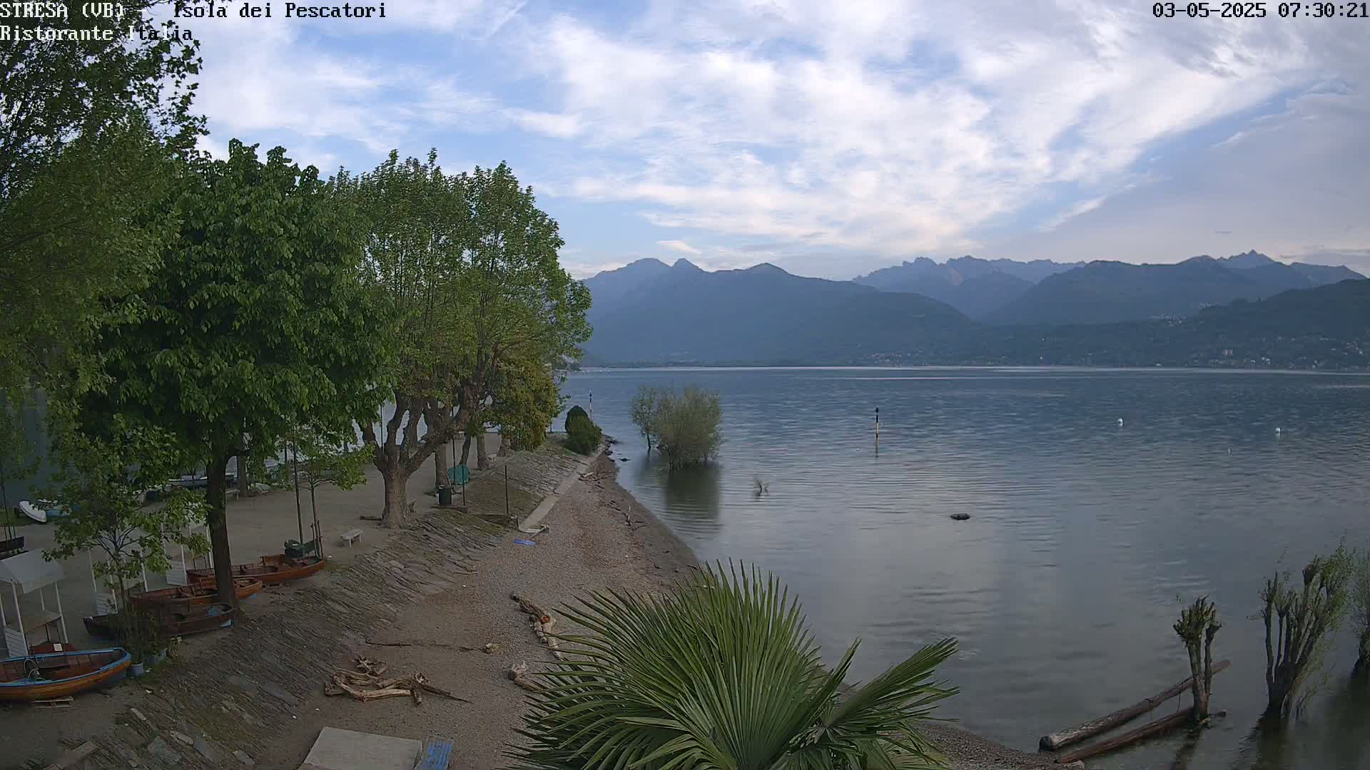A mostly sunny day shows a calm lake with mountains in the background, a pebbled shoreline with trees and small boats, and a large palm-like plant in the foreground.