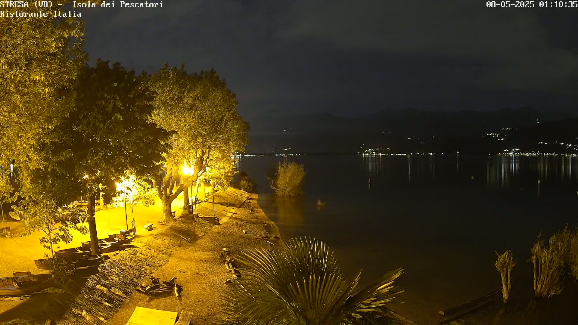 A nighttime view of a calm lake reflecting the lights of a town on the opposite shore, with a shoreline showing several boats and trees illuminated by artificial light.
