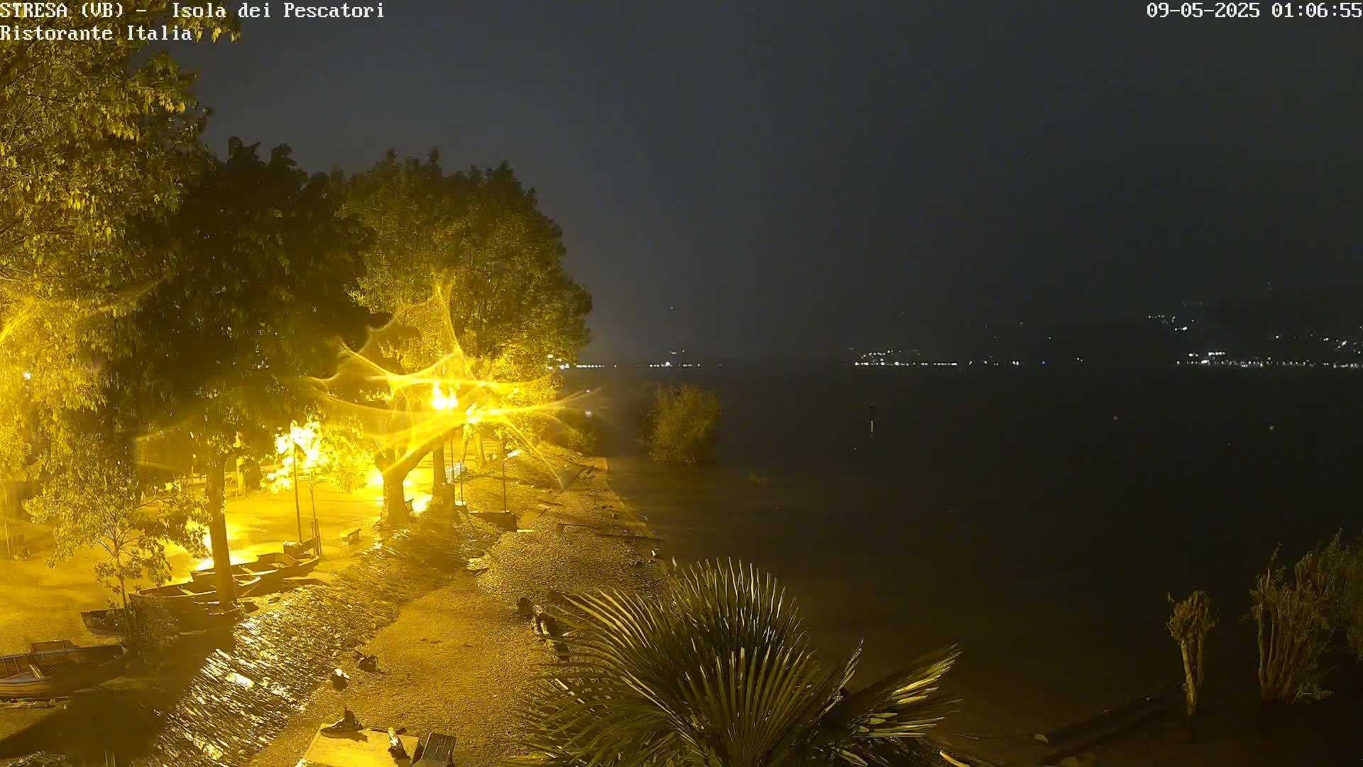 Rain falls at night on a lakeshore, illuminating trees and small boats pulled ashore by bright streetlights.