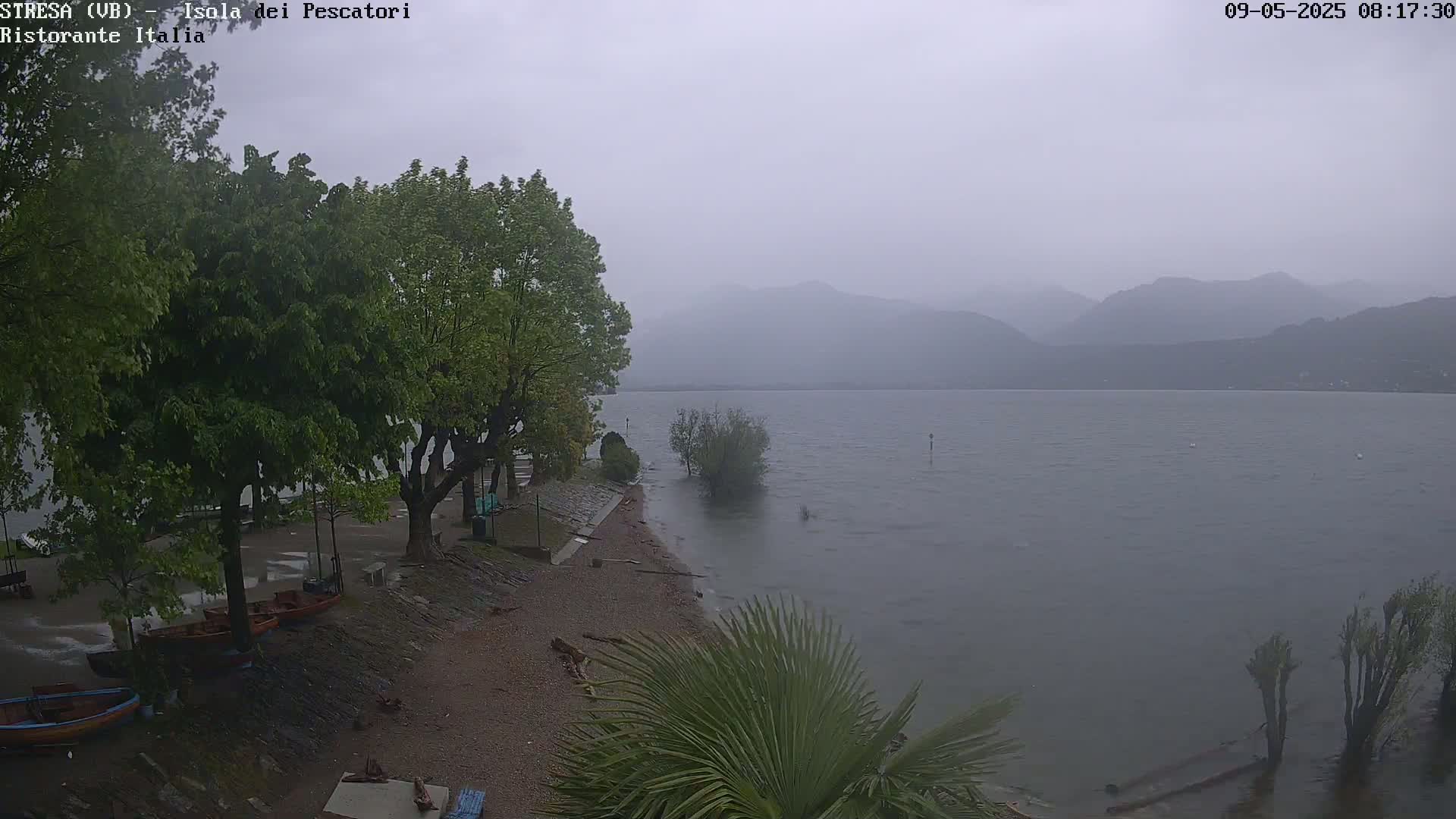 A rain-swept lakeshore scene shows several trees and some small boats pulled ashore, with a calm lake extending to hazy mountains in the distance.