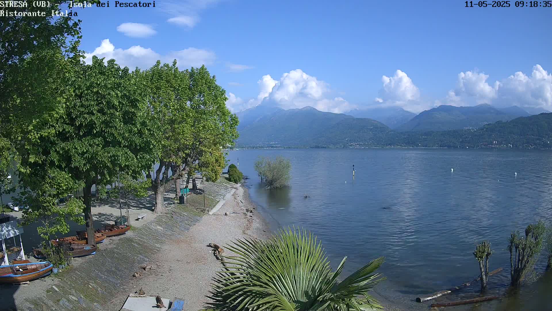 A partly cloudy sunny day shows a calm lake with mountains in the background, a sandy shoreline with several boats and trees, and a palm-like plant in the foreground.