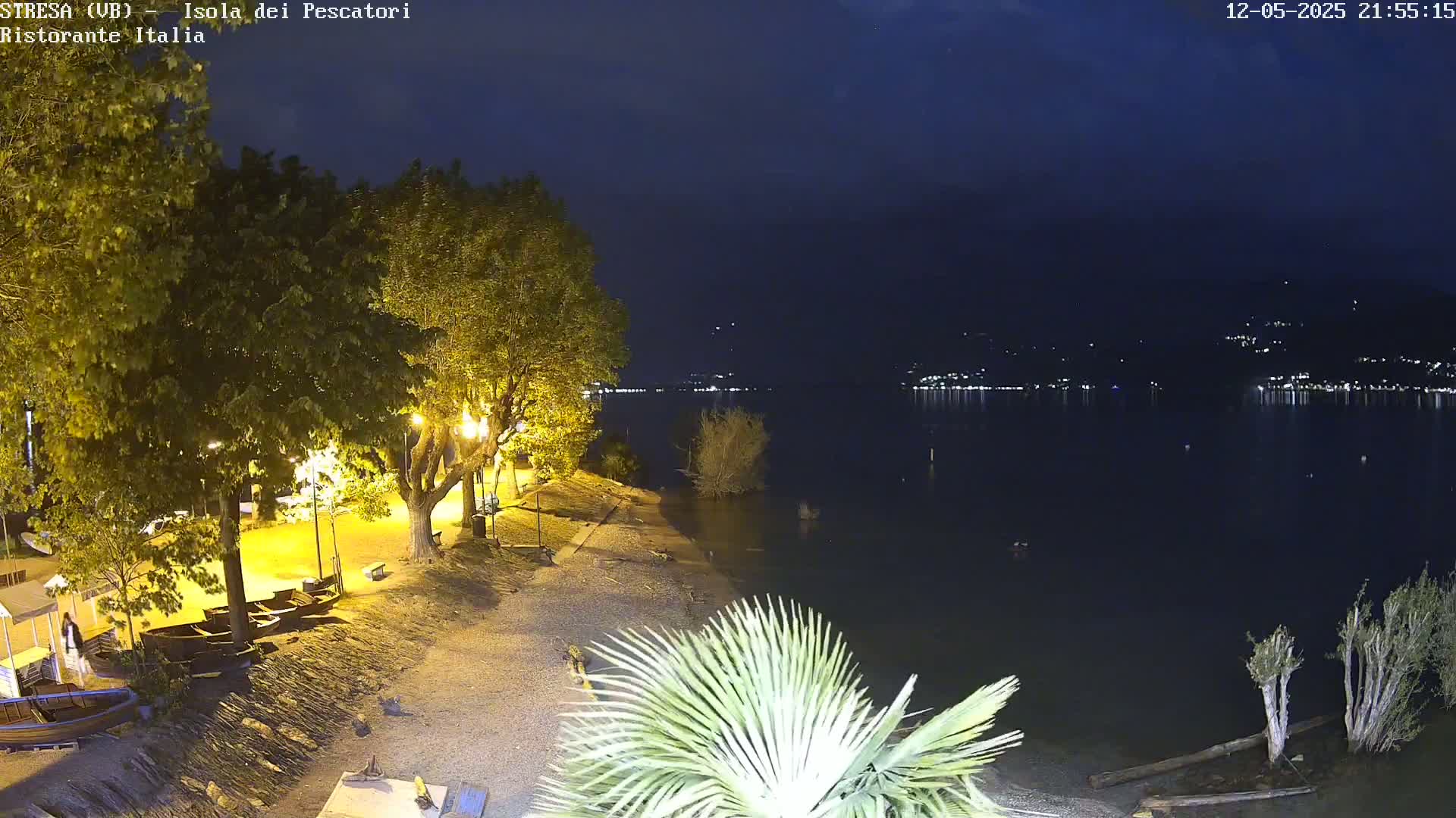 A nighttime view of a lakeshore with trees, boats, and distant lights across the water under a dark sky.