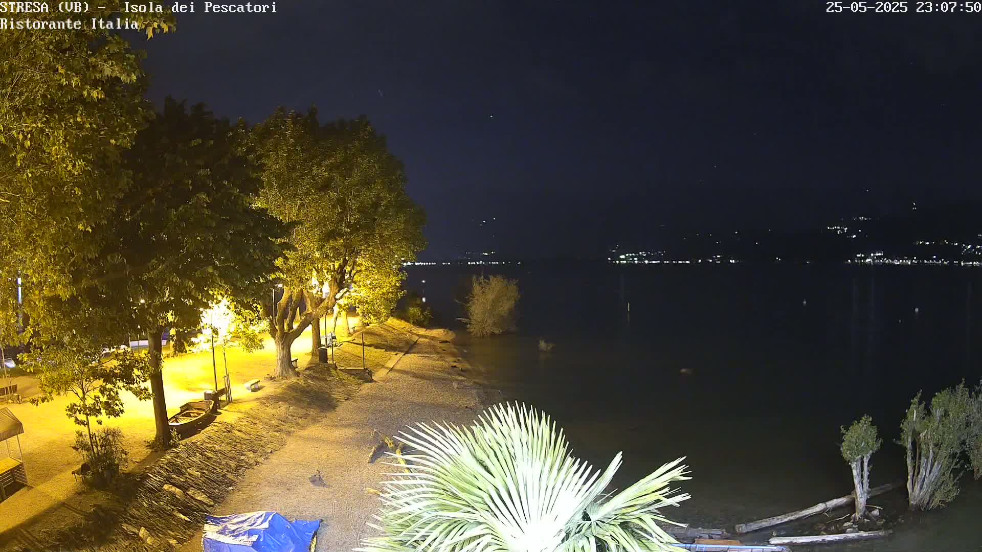 A nighttime view of a calm lake shore with trees illuminated by lights, a small beach area, and a palm tree in the foreground.