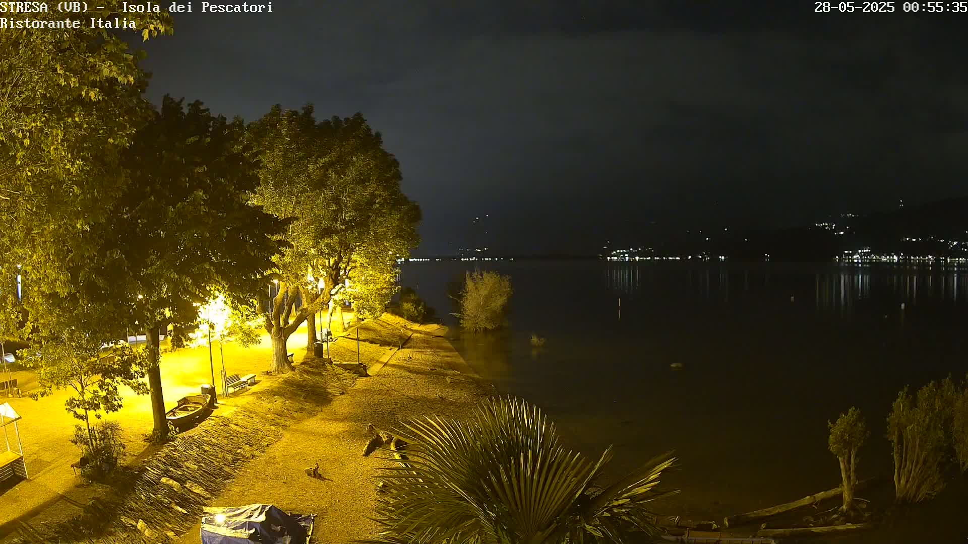 A nighttime view of a lakeshore, showing a paved walkway lined with trees and lights, and a calm body of water reflecting distant lights across its surface.