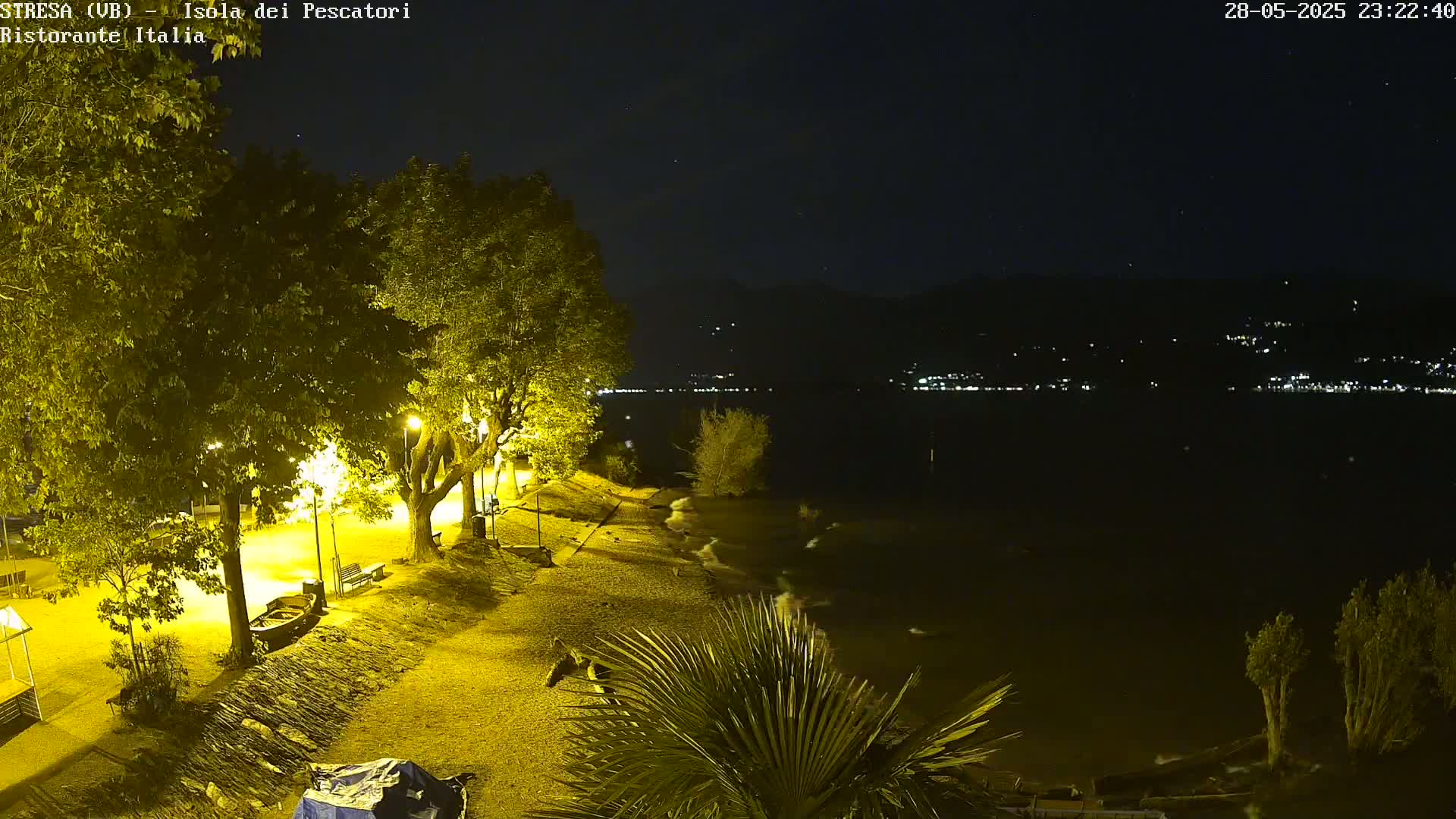 A nighttime view of a lake shore, illuminated by artificial lights, with gently lapping waves and trees under a clear, starry sky.