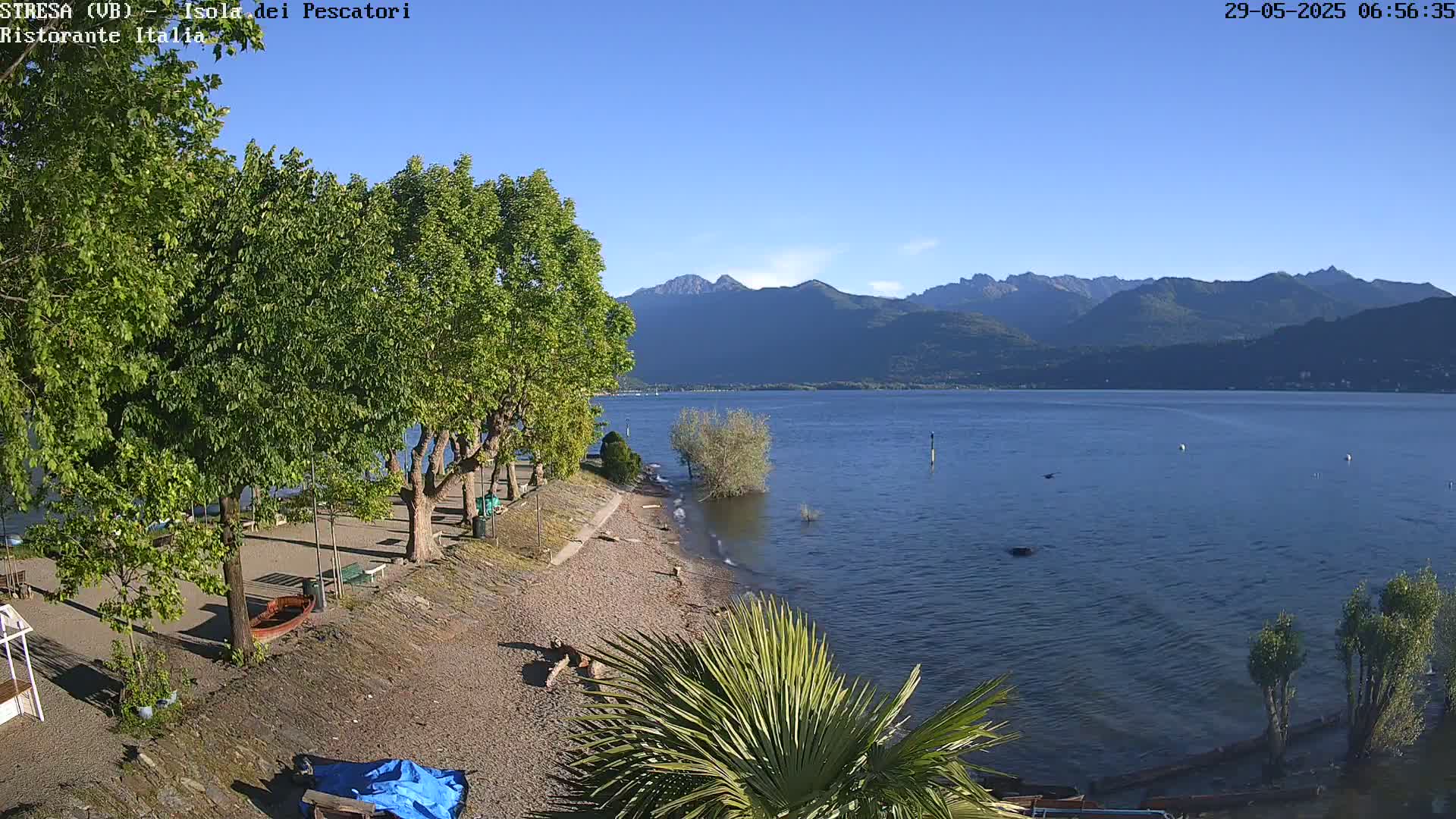 A pebble beach with green trees and a palm tree sits next to a calm lake, mountains visible in the distance under a clear blue sky.