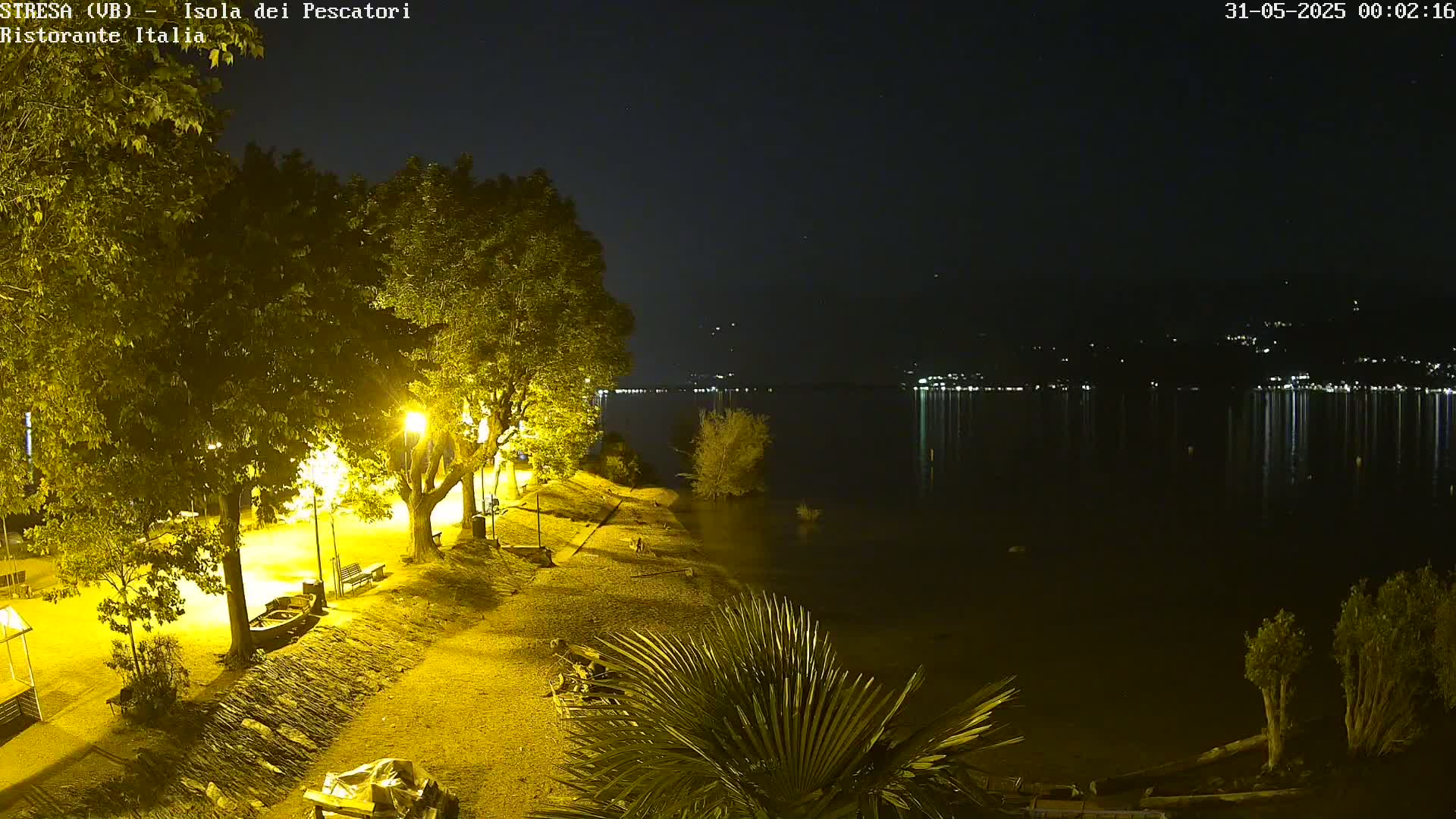 A nighttime view of a calm lake with lights reflecting on its surface, seen from a lakeside park illuminated by streetlights, under a clear, starry sky.