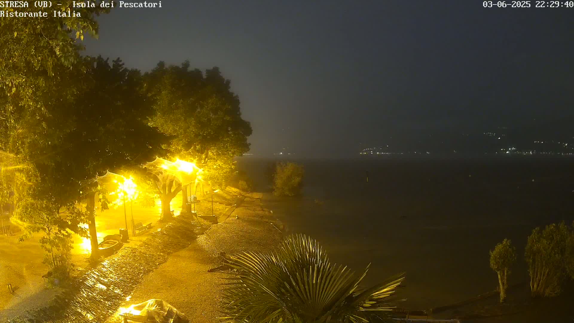 A nighttime view of a rain-soaked lakeside area illuminated by streetlights, with trees and vegetation in the foreground and a body of water extending into the hazy distance.