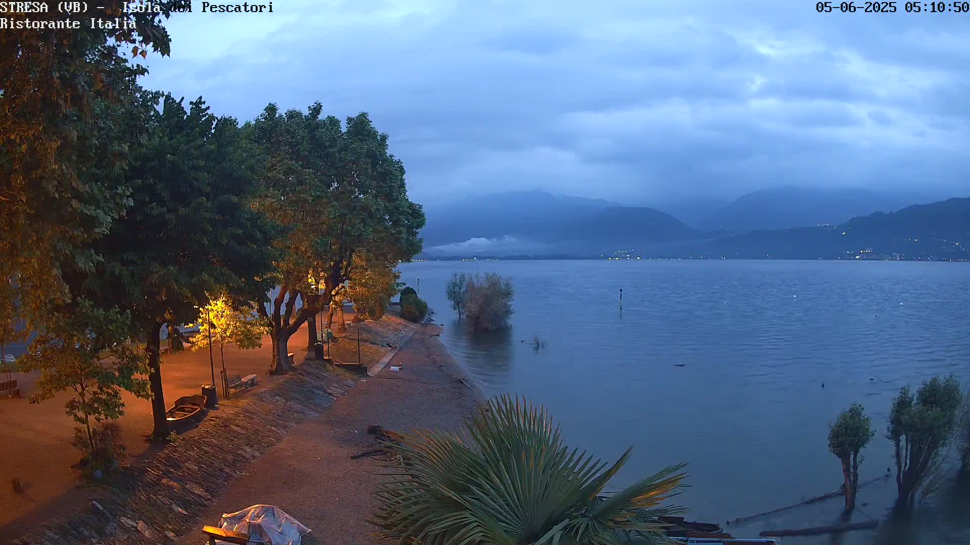 A calm lake at dusk, under a cloudy sky, is bordered by a shoreline with trees, lights, and low-lying vegetation partially submerged in the water.