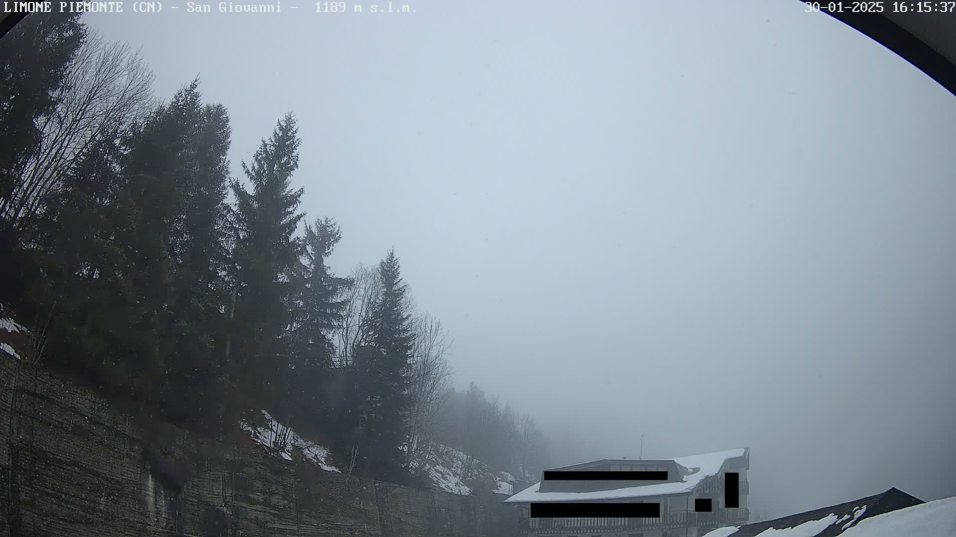 A foggy, snowy scene shows evergreen trees on a hillside next to a building partially obscured by fog.