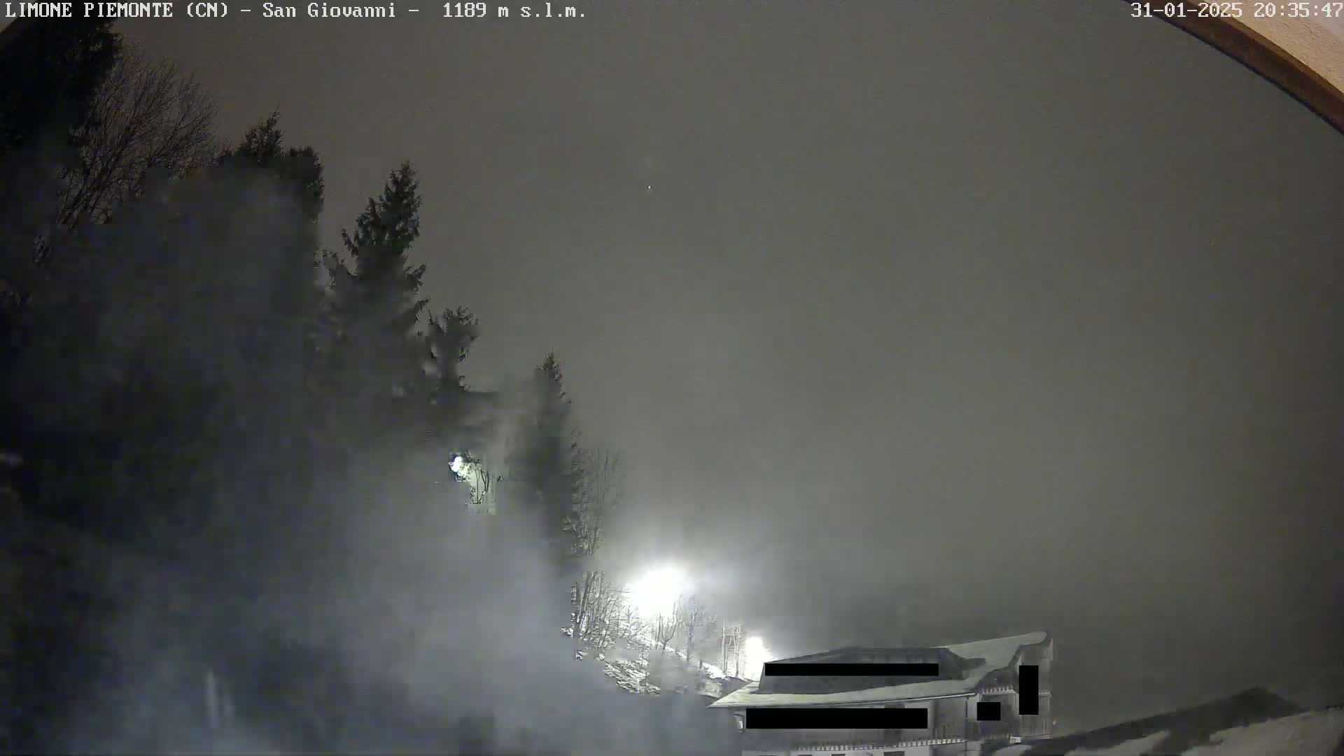 A nighttime, foggy scene shows a building partially obscured by heavy fog and trees illuminated by lights.