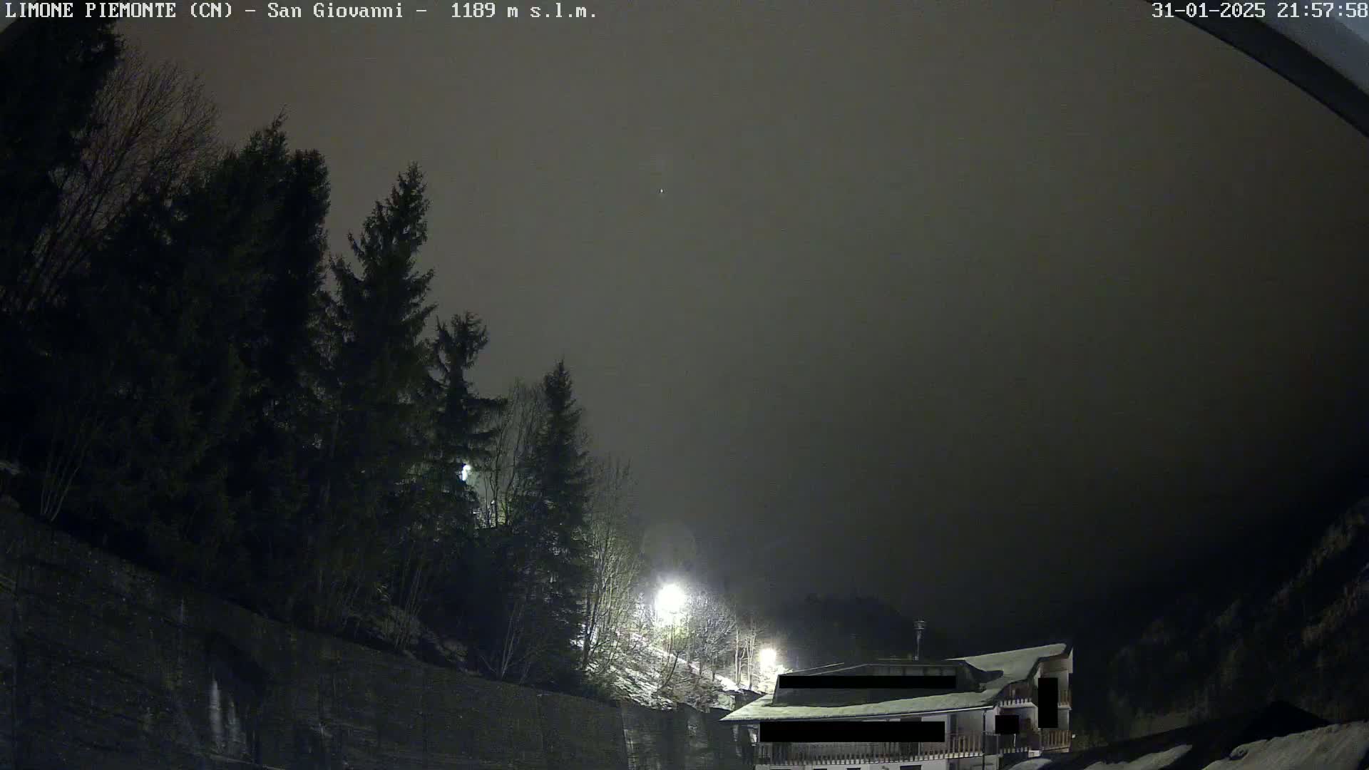A nighttime scene shows a building nestled among dark evergreens under a hazy, gray sky with light snowfall.
