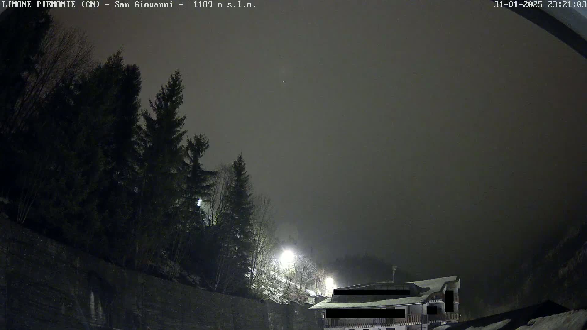 At night, under a hazy sky, a building sits nestled among dark evergreens, illuminated by nearby lights.