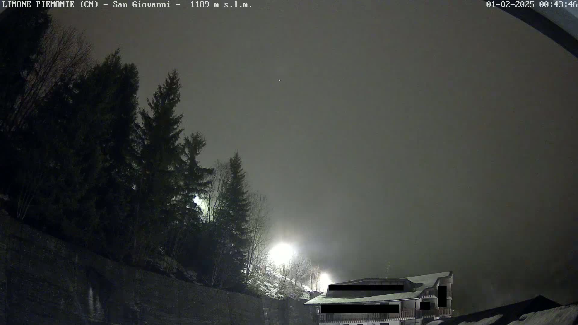 A nighttime scene shows dark evergreen trees on a hillside under a foggy, gray sky, with a building partially visible in the lower right corner, lit by artificial light.