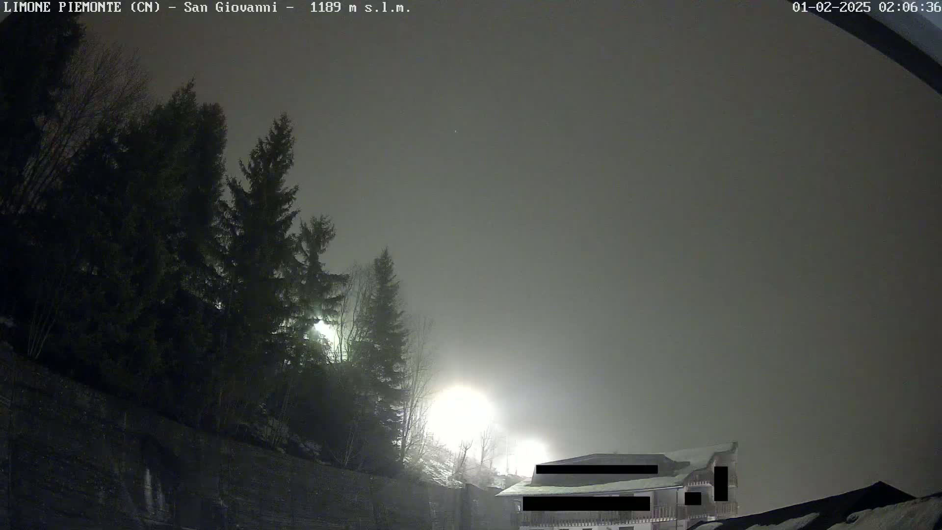 A foggy night scene shows a building partially obscured by fog, illuminated by nearby lights, with tall evergreen trees in the foreground.